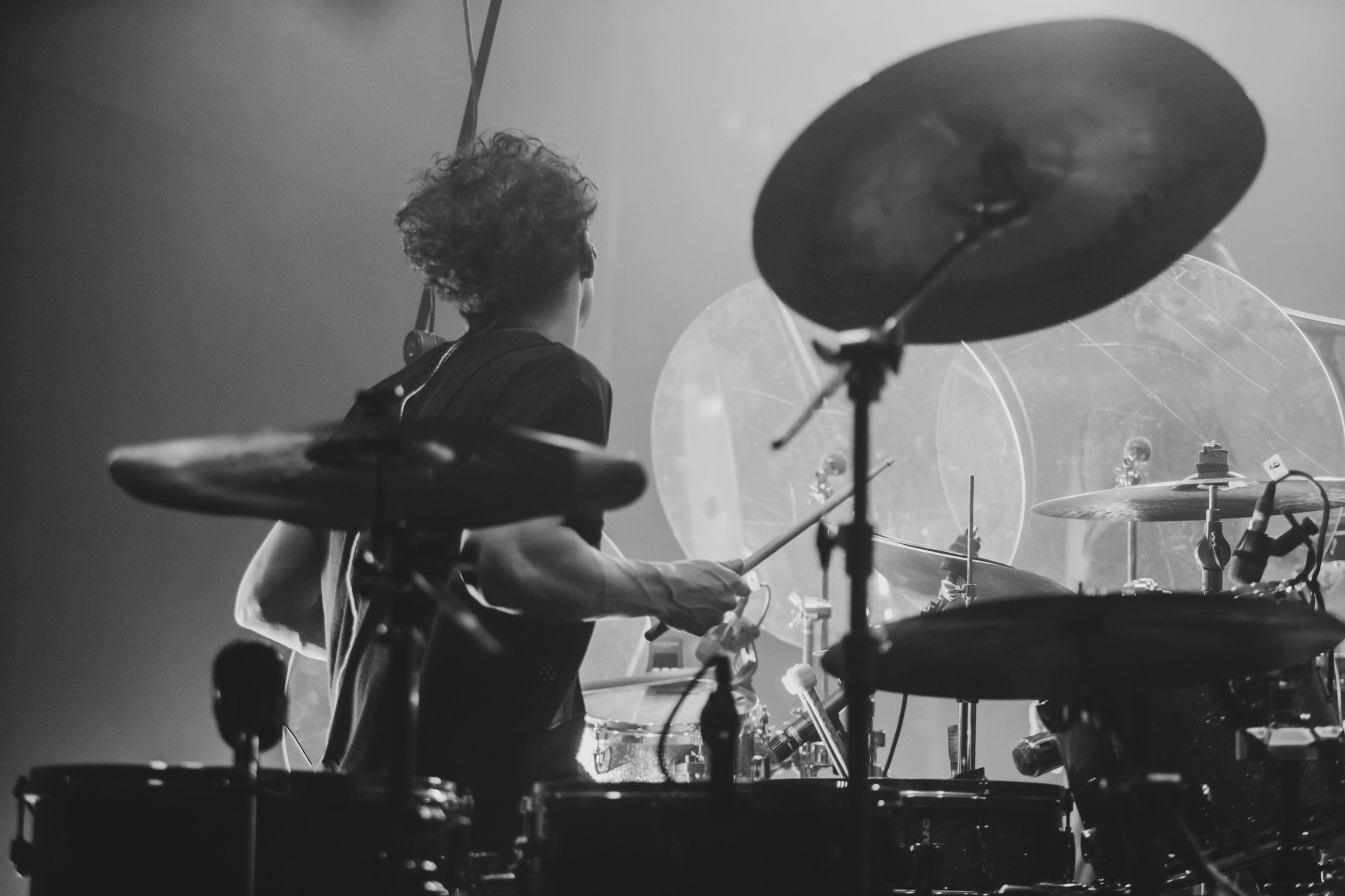 Дельфин. Репортажный фотограф Алексей Пирязев