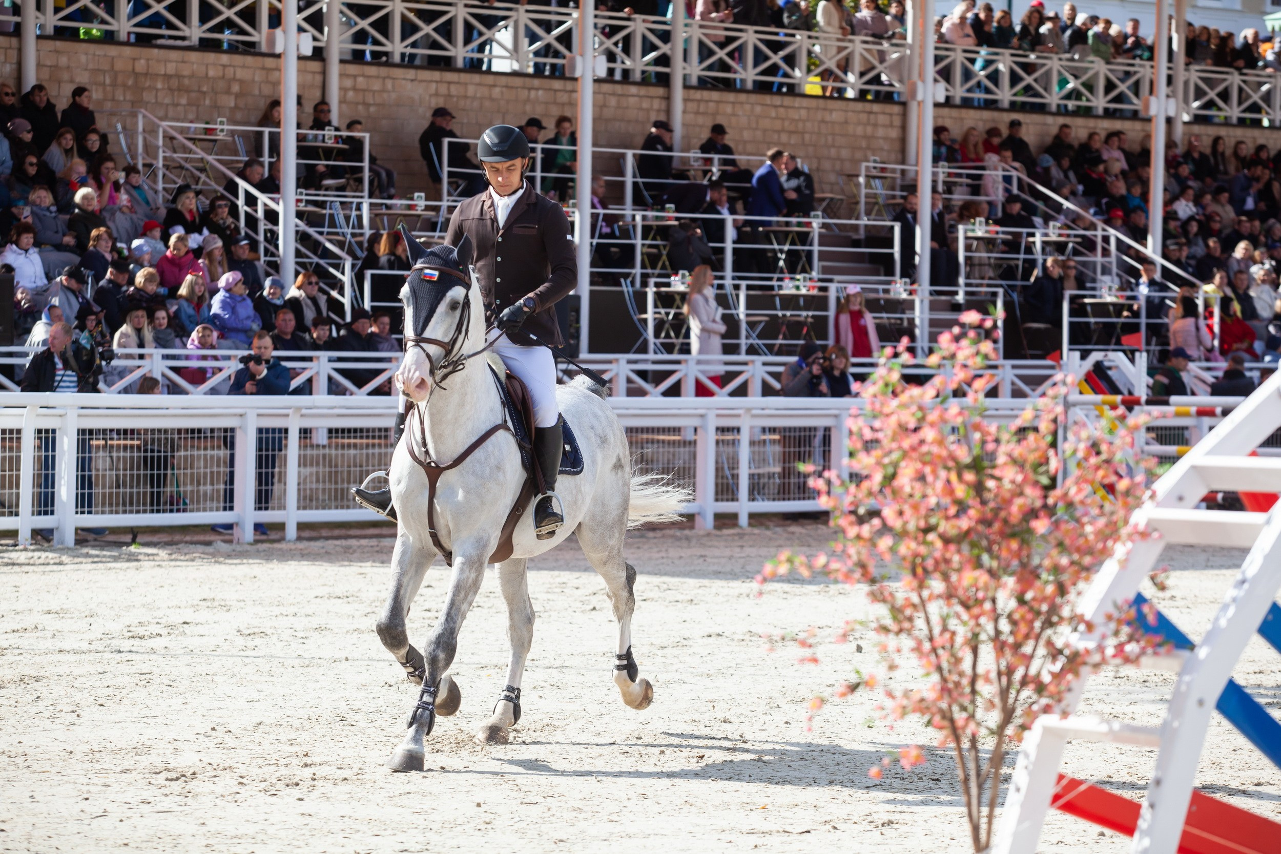 Кубок Губернатора по конкуру (21 сентября 2019). Репортажный фотограф Алексей Пирязев