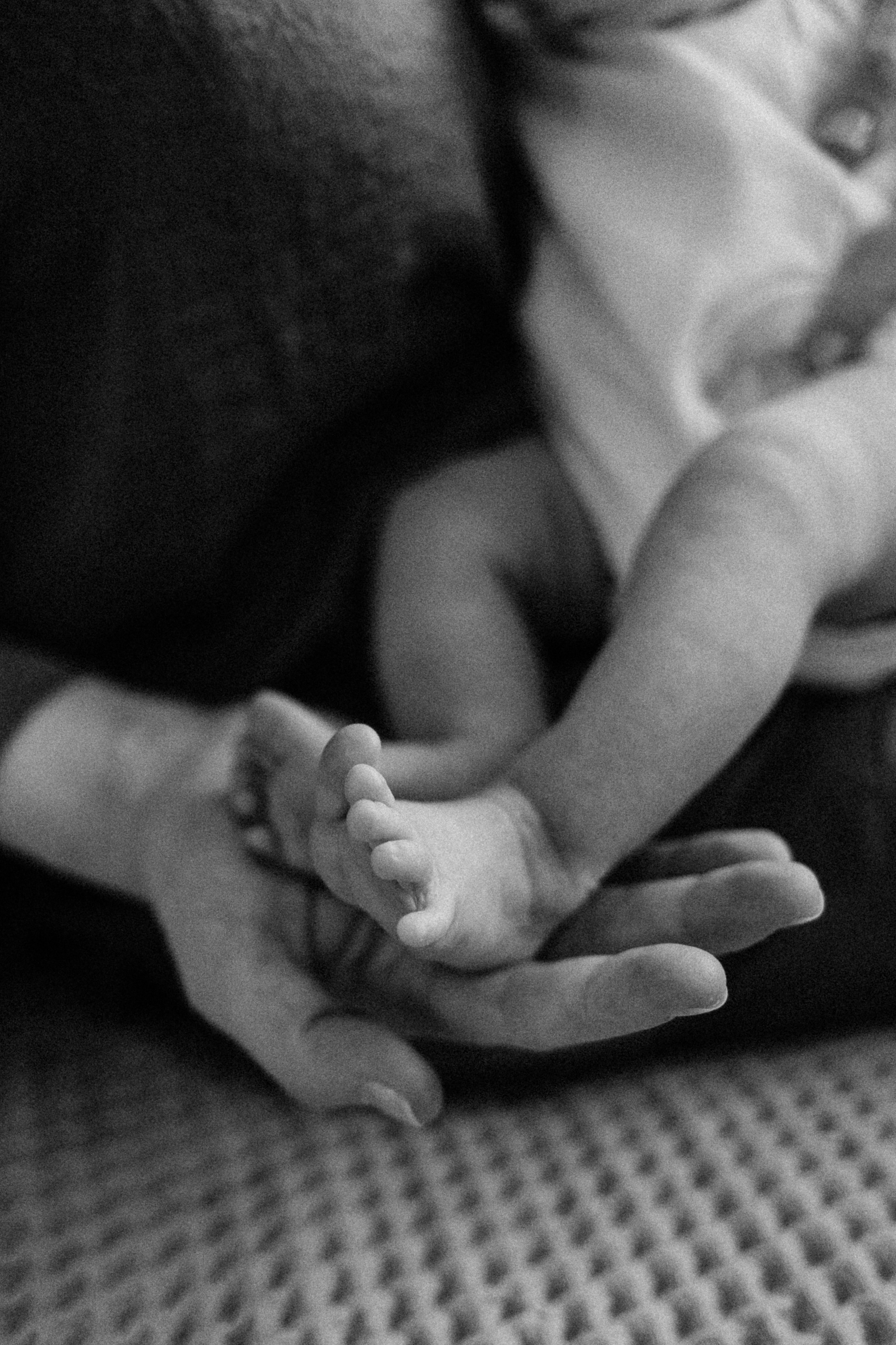 Анастасия/Андрей/Арина/2025. Свадебный и семейный фотограф в Екатеринбурге