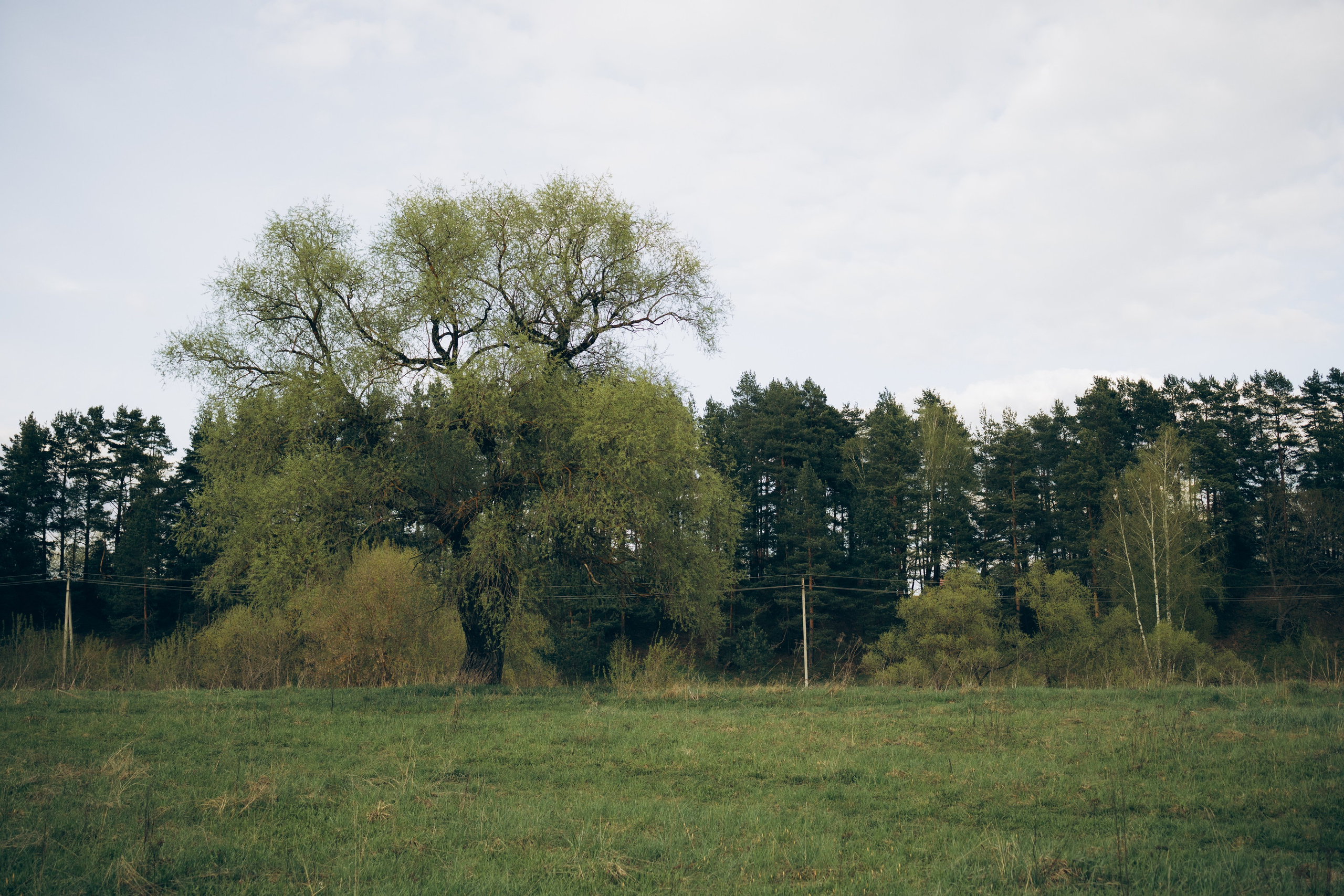 Istra. Женский фотограф Истра
