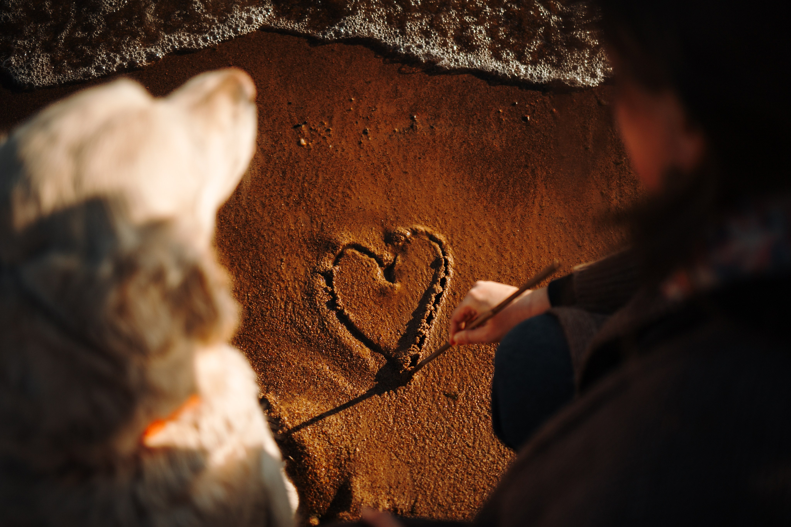 Катя и ее девочки. Фотограф — Анималист | Санкт-Петербург