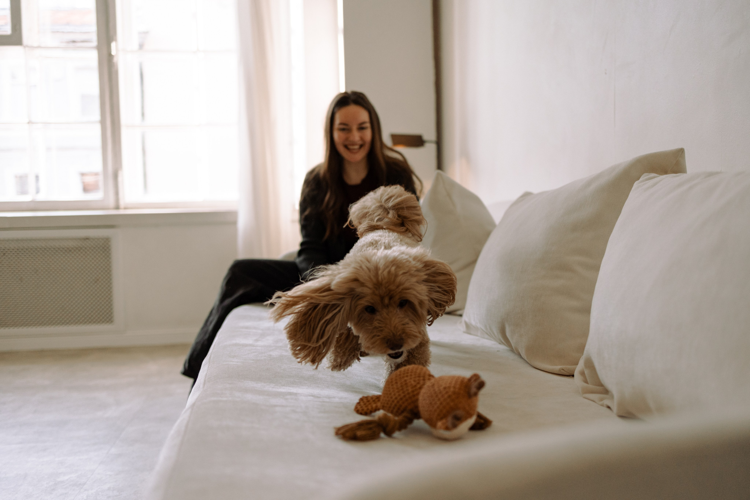 Шкипер и его семья. Фотограф — Анималист | Санкт-Петербург