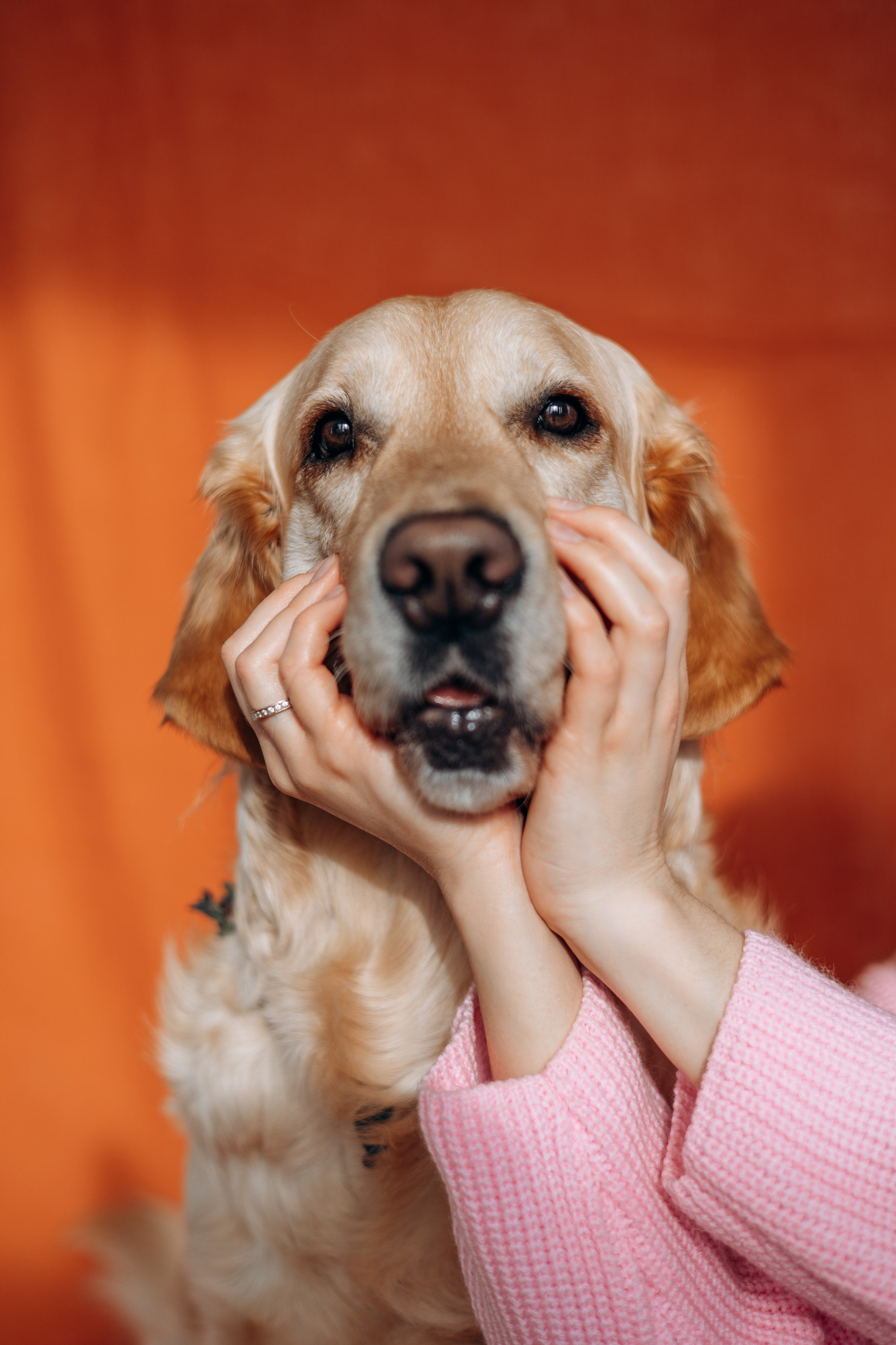 Марина и Чили. Фотограф — Анималист | Санкт-Петербург