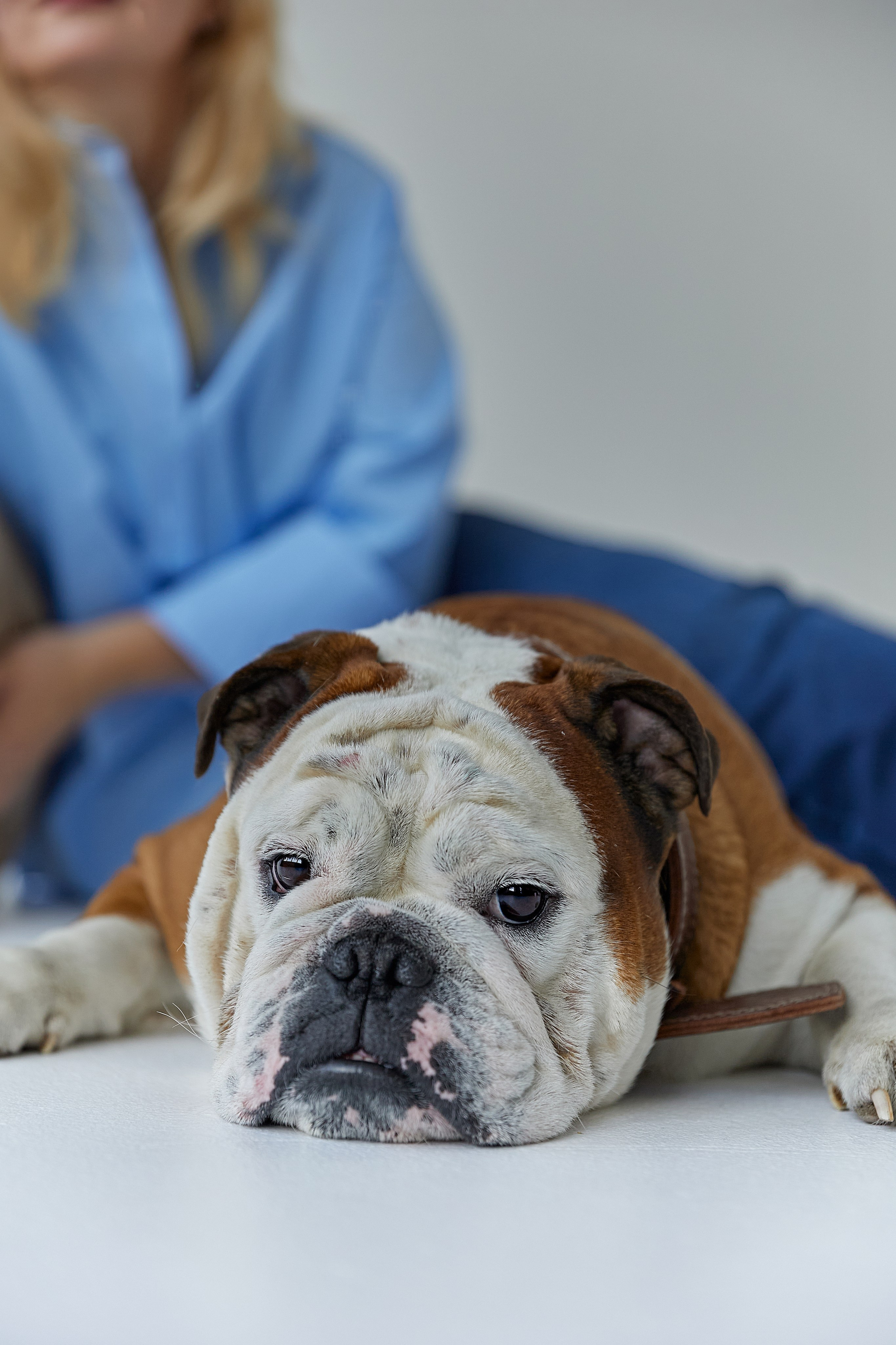 Наталья. Фотограф женского портрета, беременности и материнства Харькова Елена