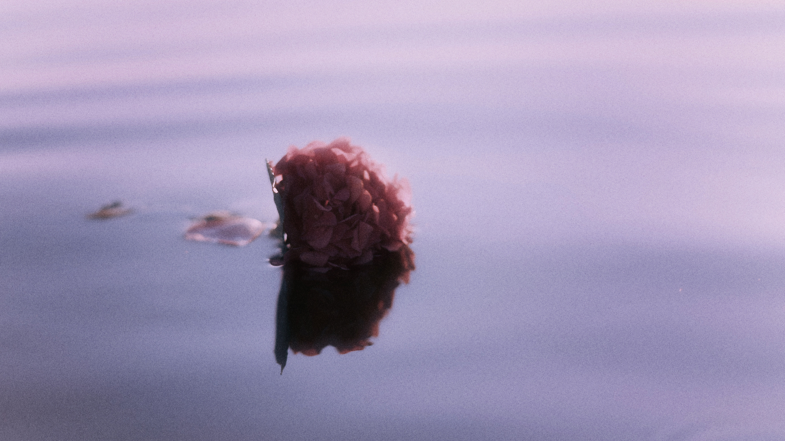 Ease. Портретный и репортажный фотограф в Казани Максим Сипачев