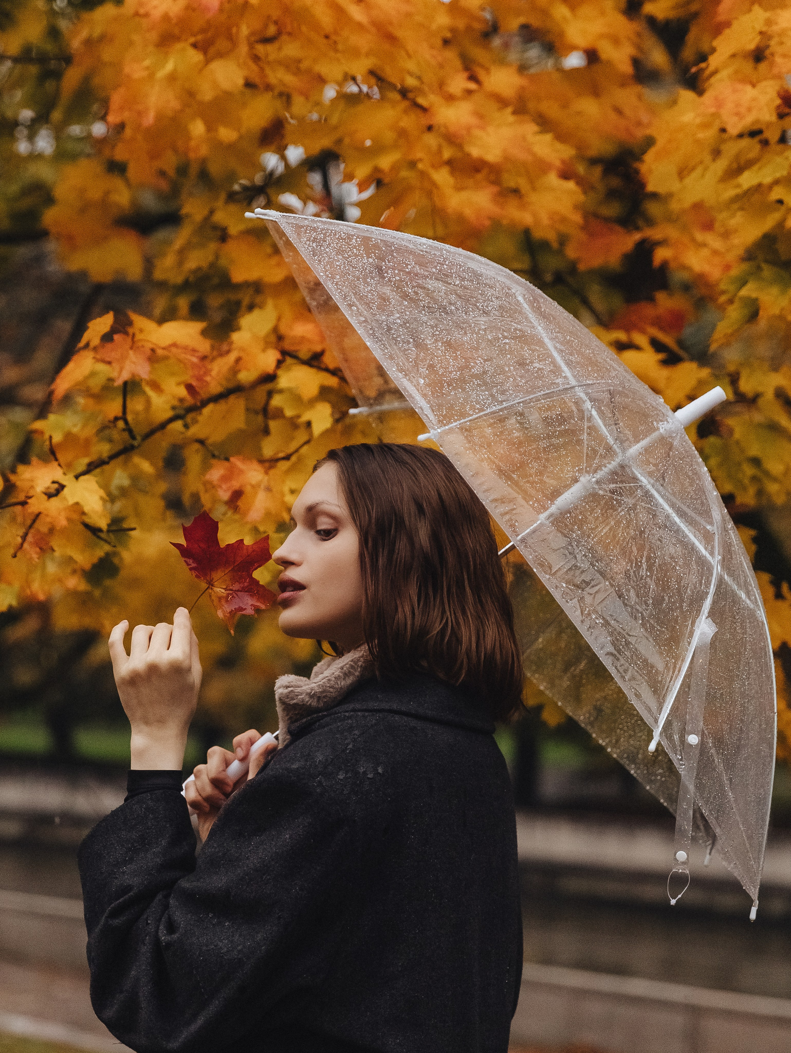 Autumn_. Diana Chumakova
