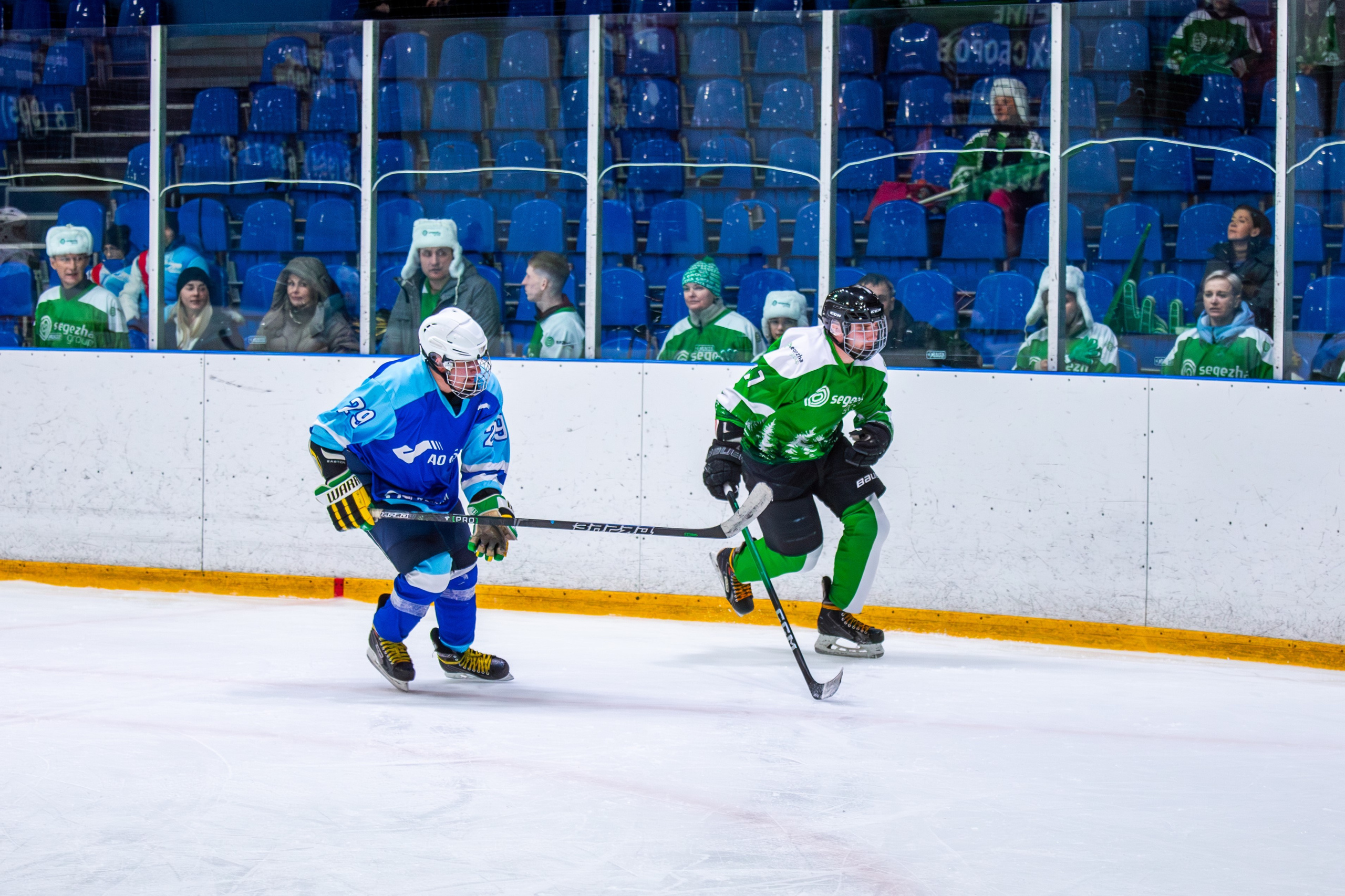 Чемпионат по хоккею. Репортажный, семейный, свадебный, портретный фотограф