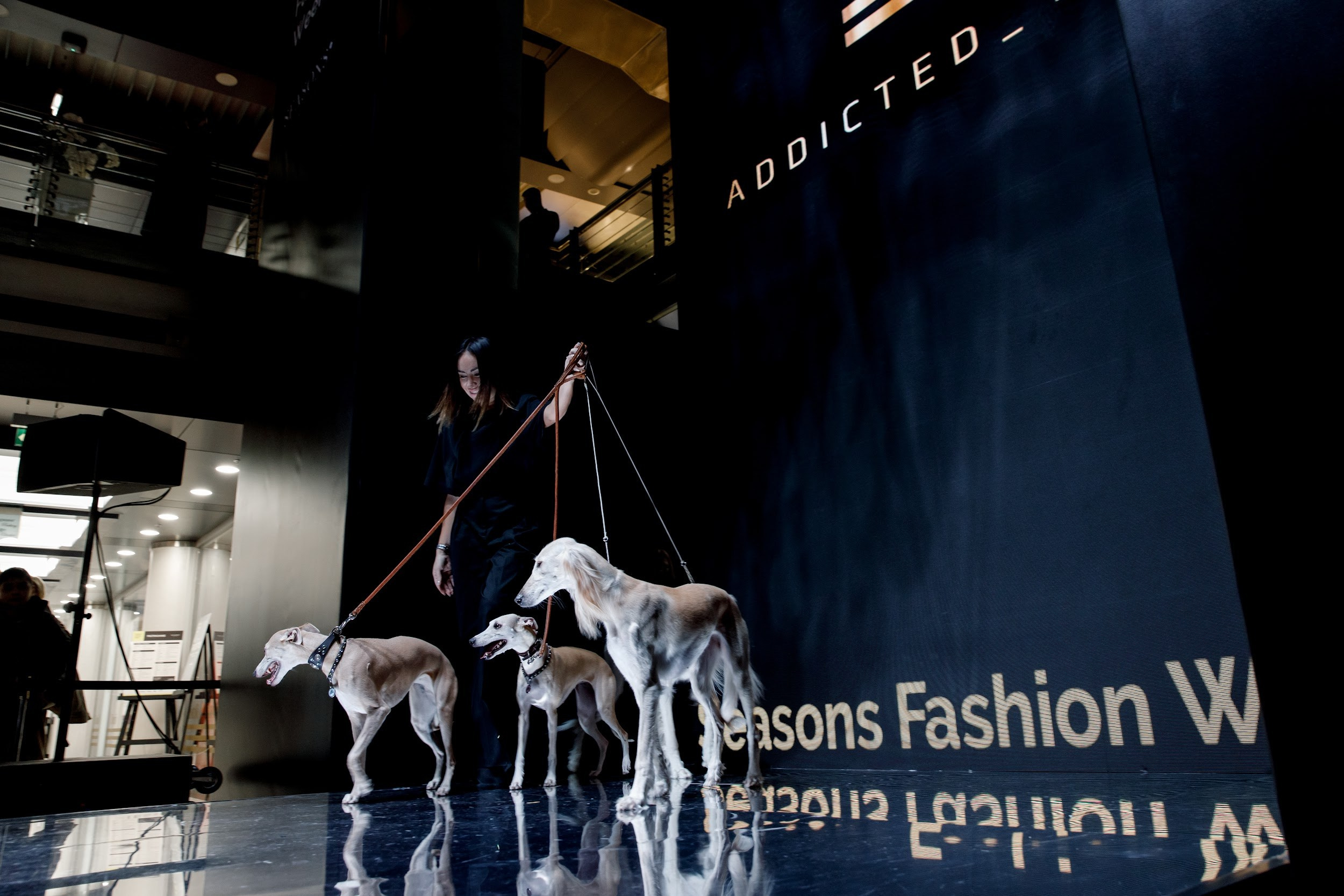 SFW. Любовь Чуляева — свадебный фотограф в Москве и Европе