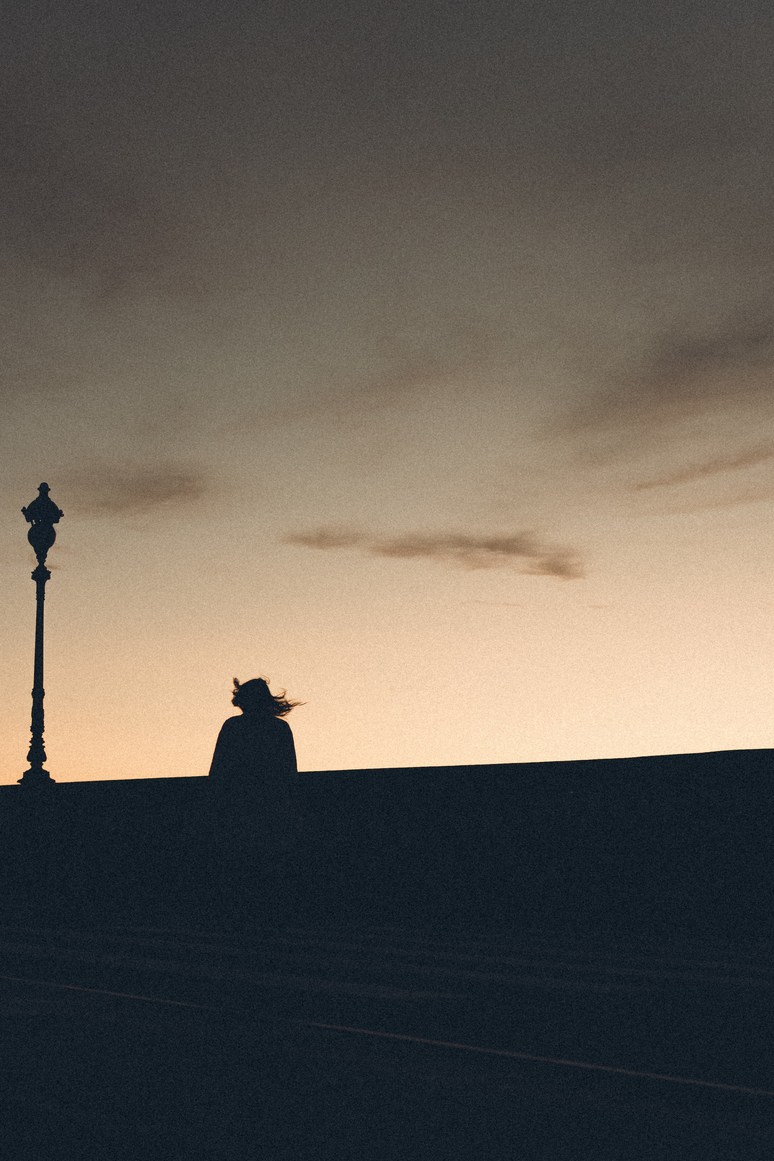 РАССВЕТ С РАЗВОДНЫМИ МОСТАМИ. Профессиональный фотограф, Санкт-Петербург — Виктория Богомолова