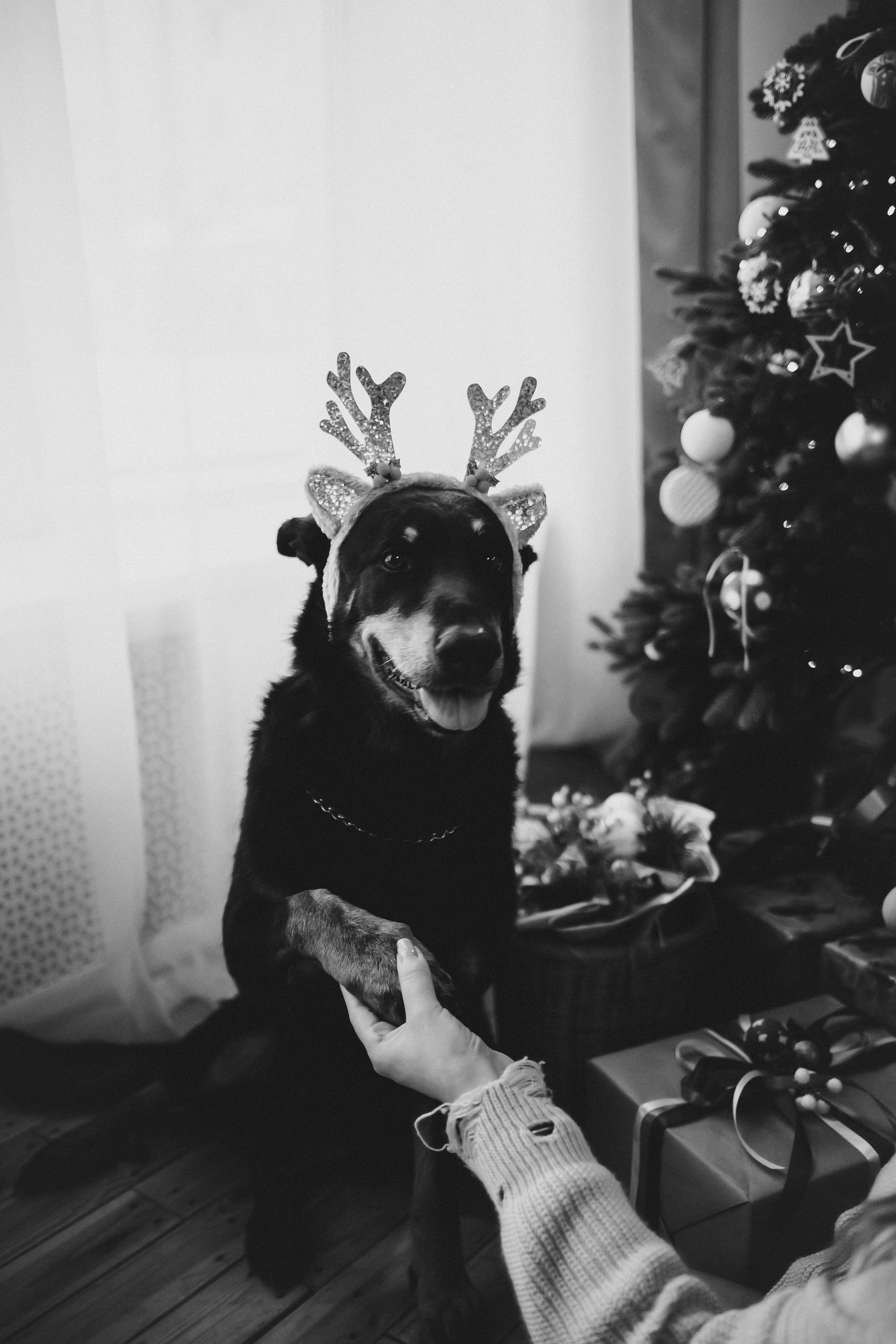 Антон & Полина. Анна Михайлова|Свадебный фотограф в Санкт-Петербурге