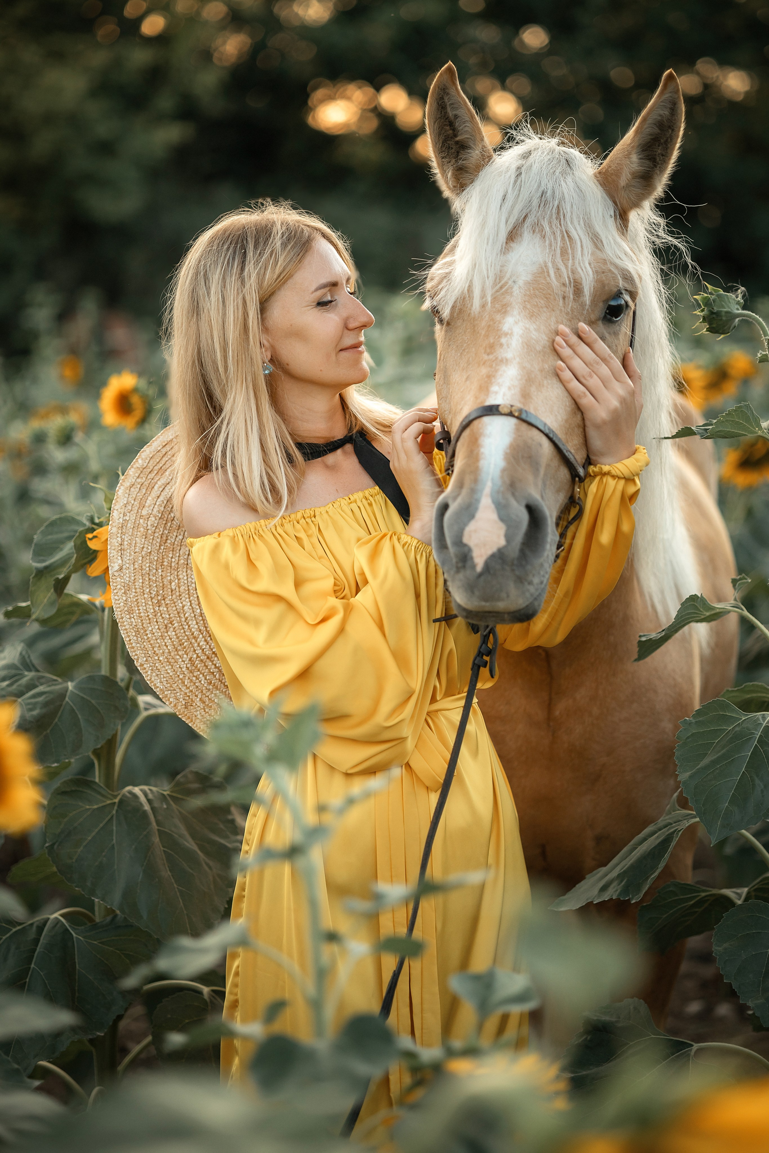 Солнечные подсолнухи. Художественный фотограф Анапа Александра Долбикова
