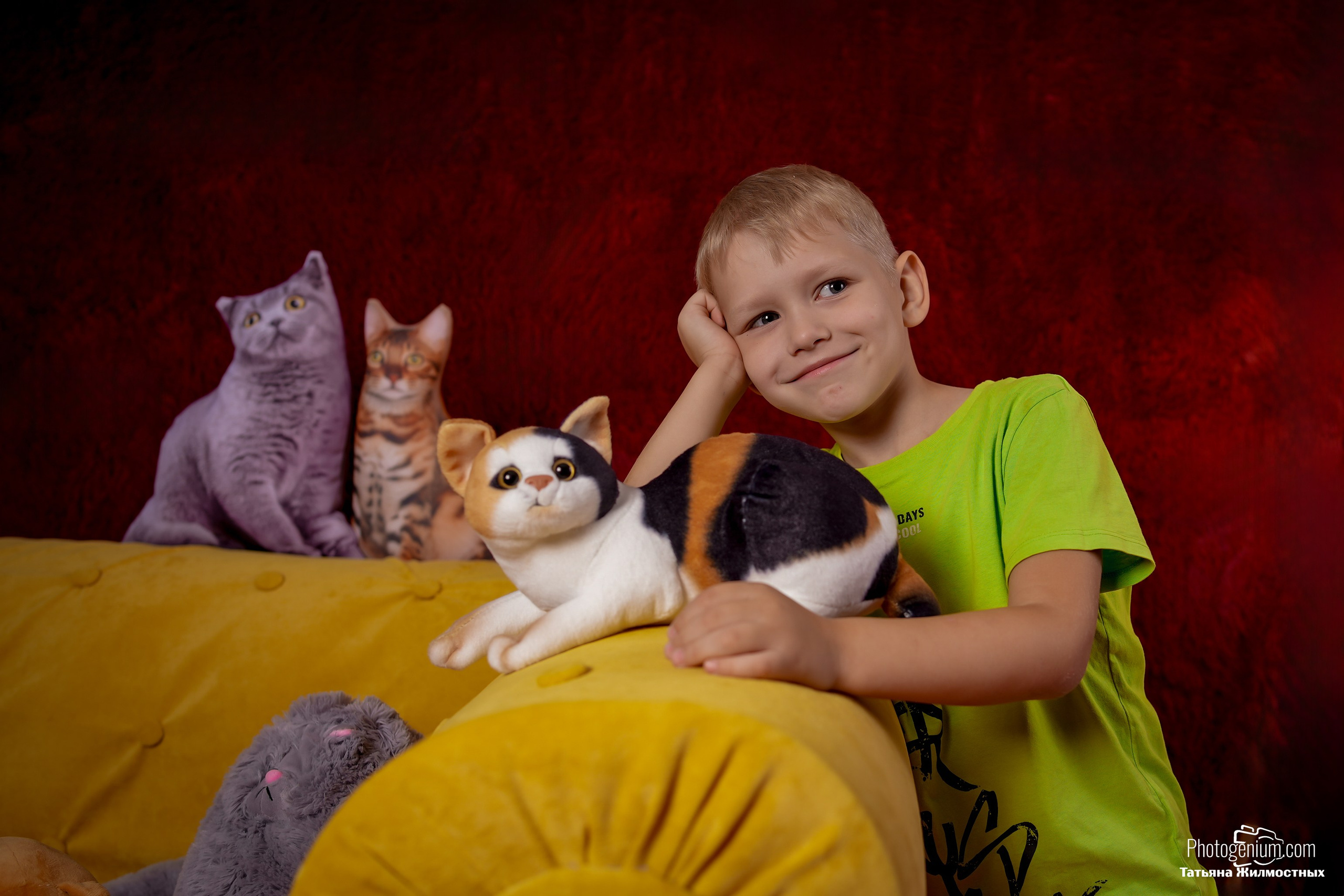 Студийная съемка Котики. Фотограф Нижний Новгород Татьяна Кэйод