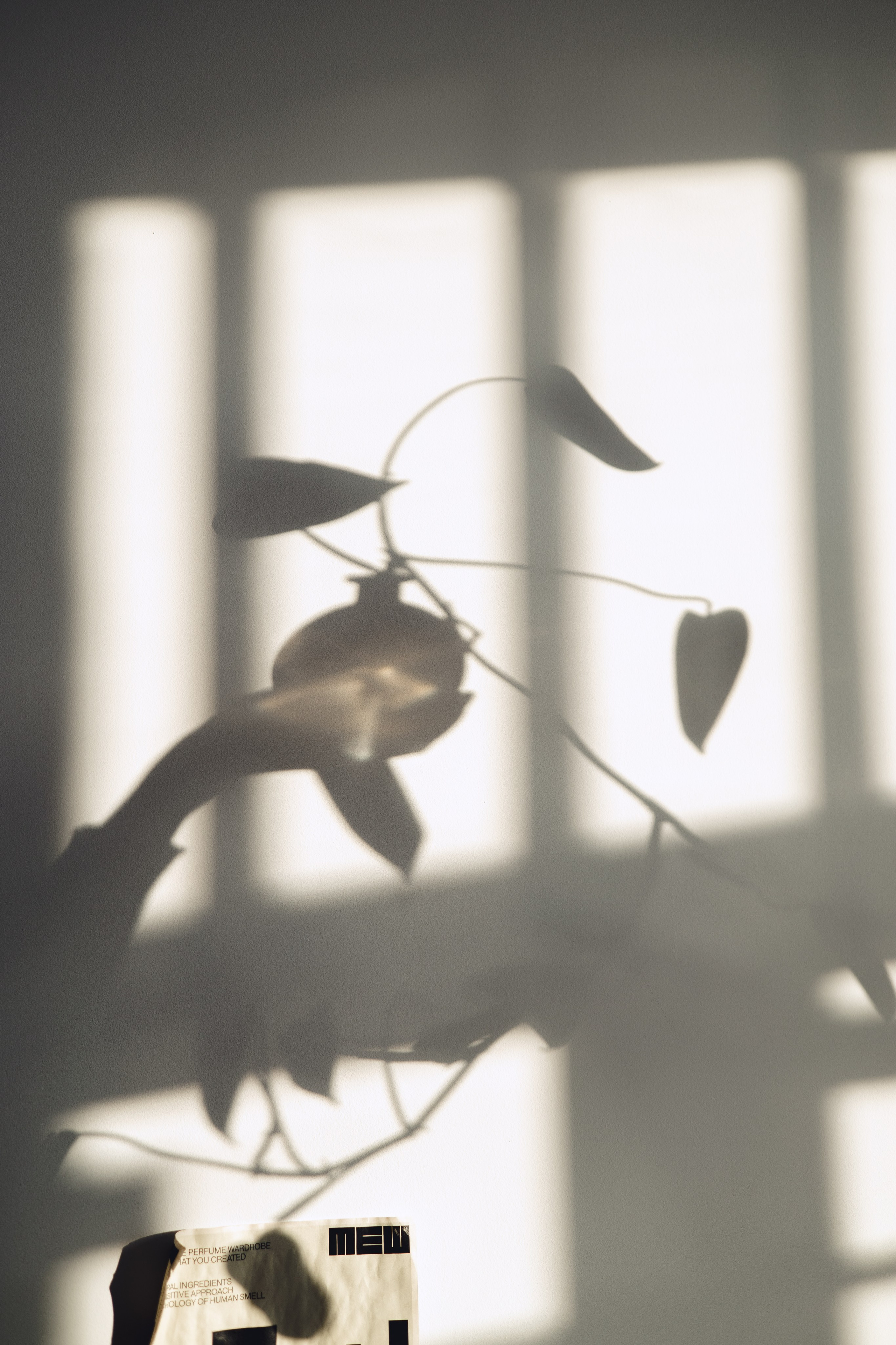 Предметная съемка для бизнеса. Фотограф в Санкт-Петербурге Осокина Елизавета