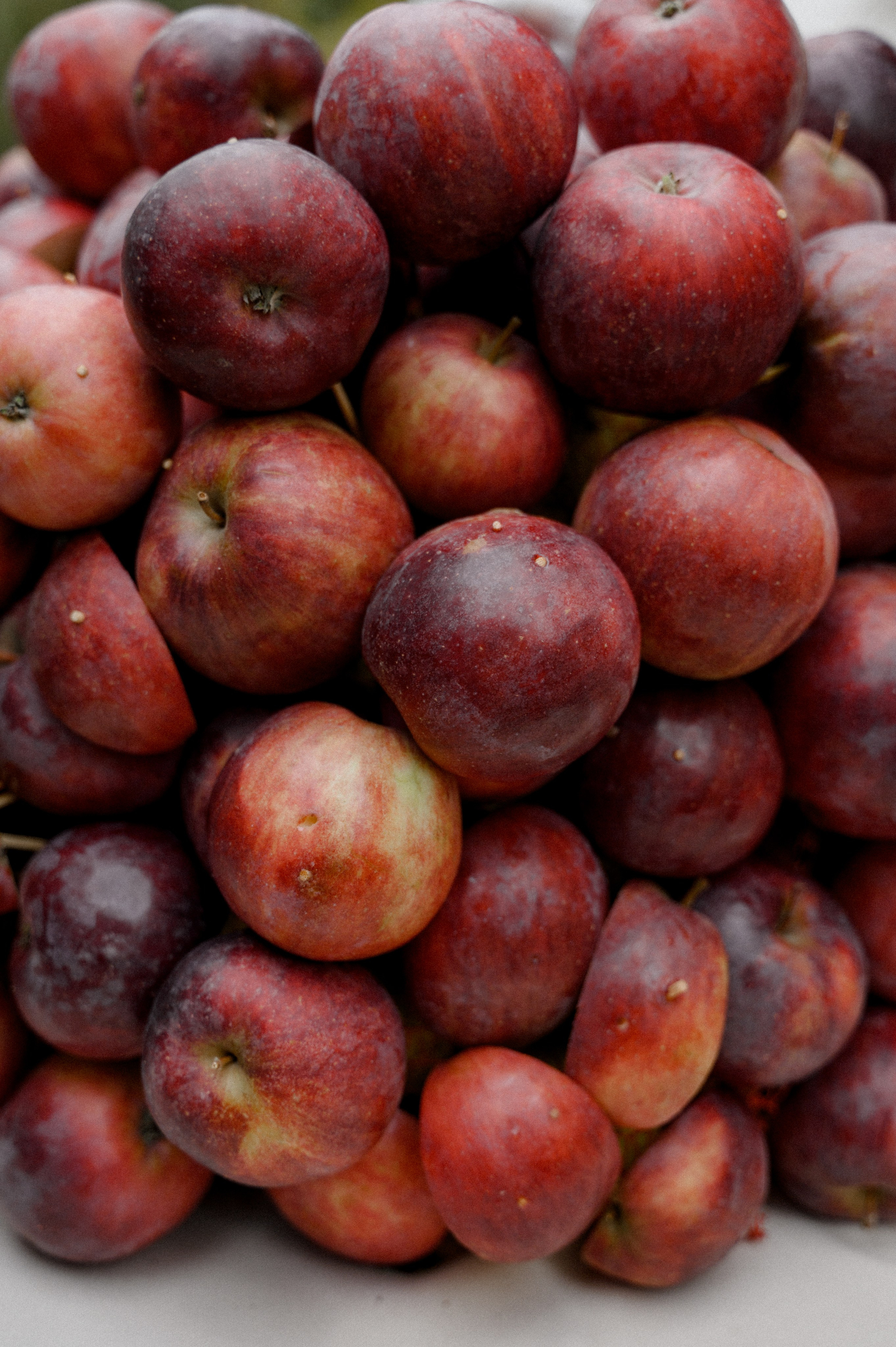Свадебный фотограф Минск. Свадебный фотограф Минск