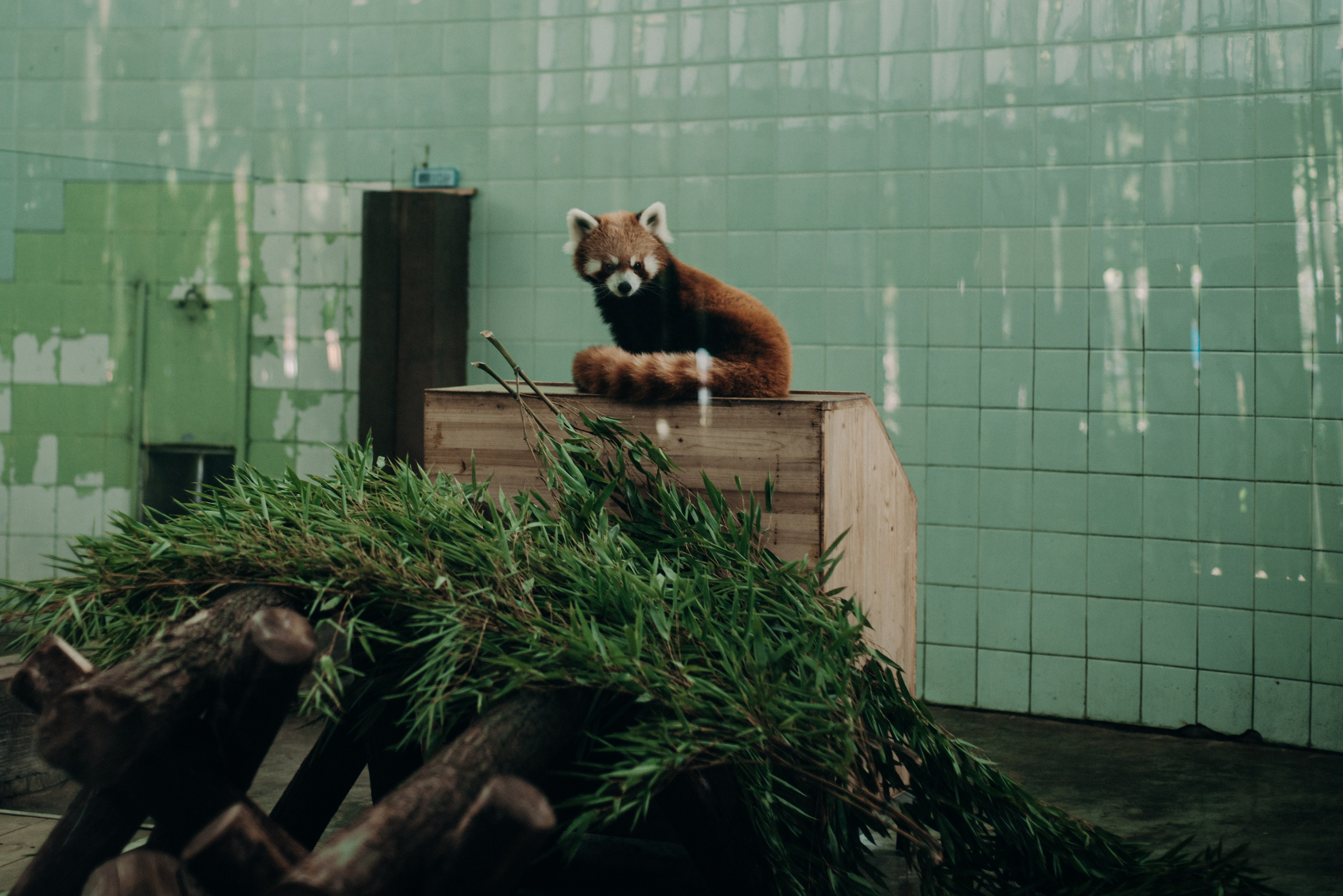 Рекламный фотограф из Гуанчжоу: вдохновение в улицах Шанхая. Коммерческий и предметный фотограф в Гуанчжоу Коваленко Александр