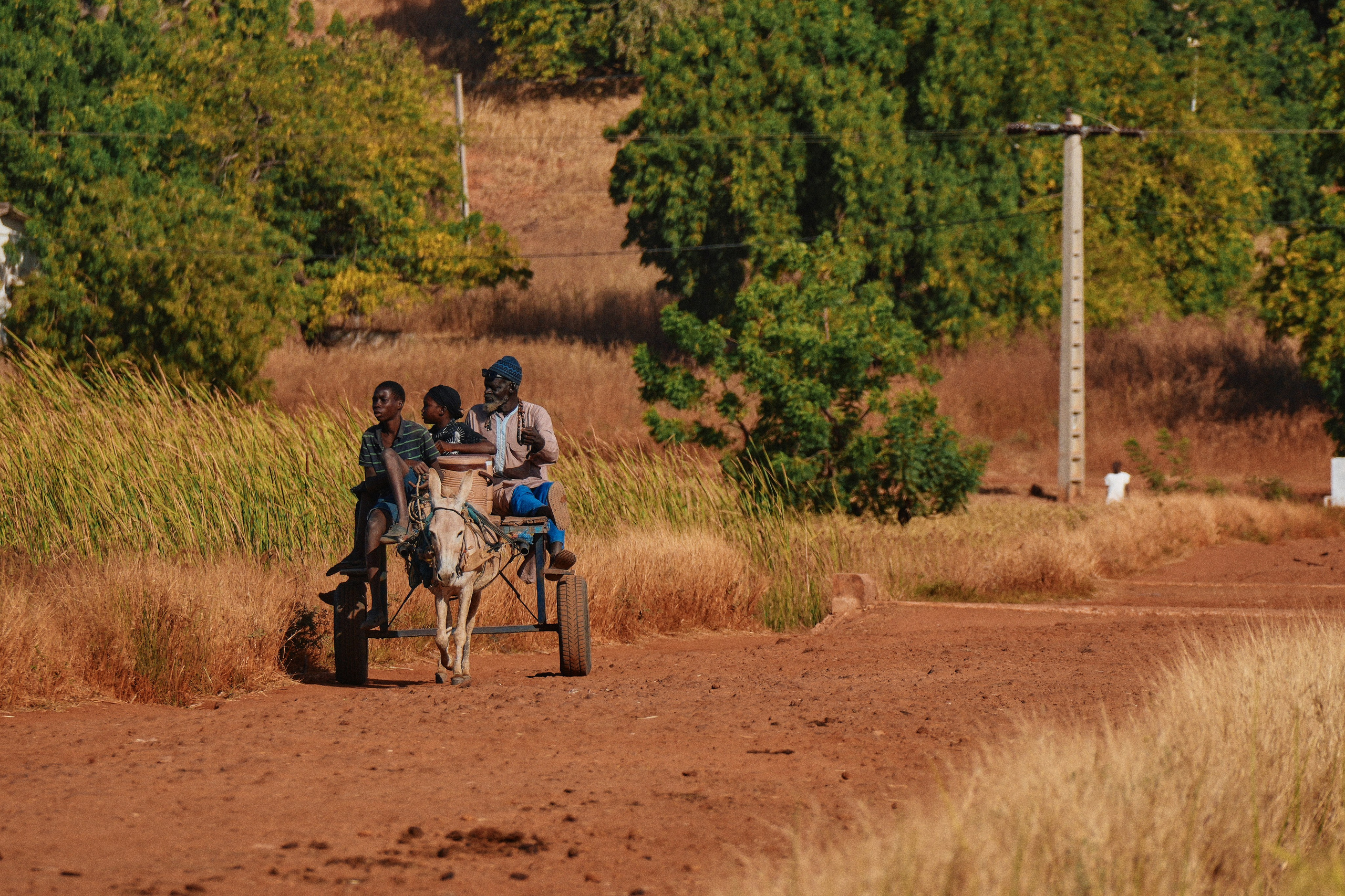 Gambia River. See the moment and catche. commercial and reportage