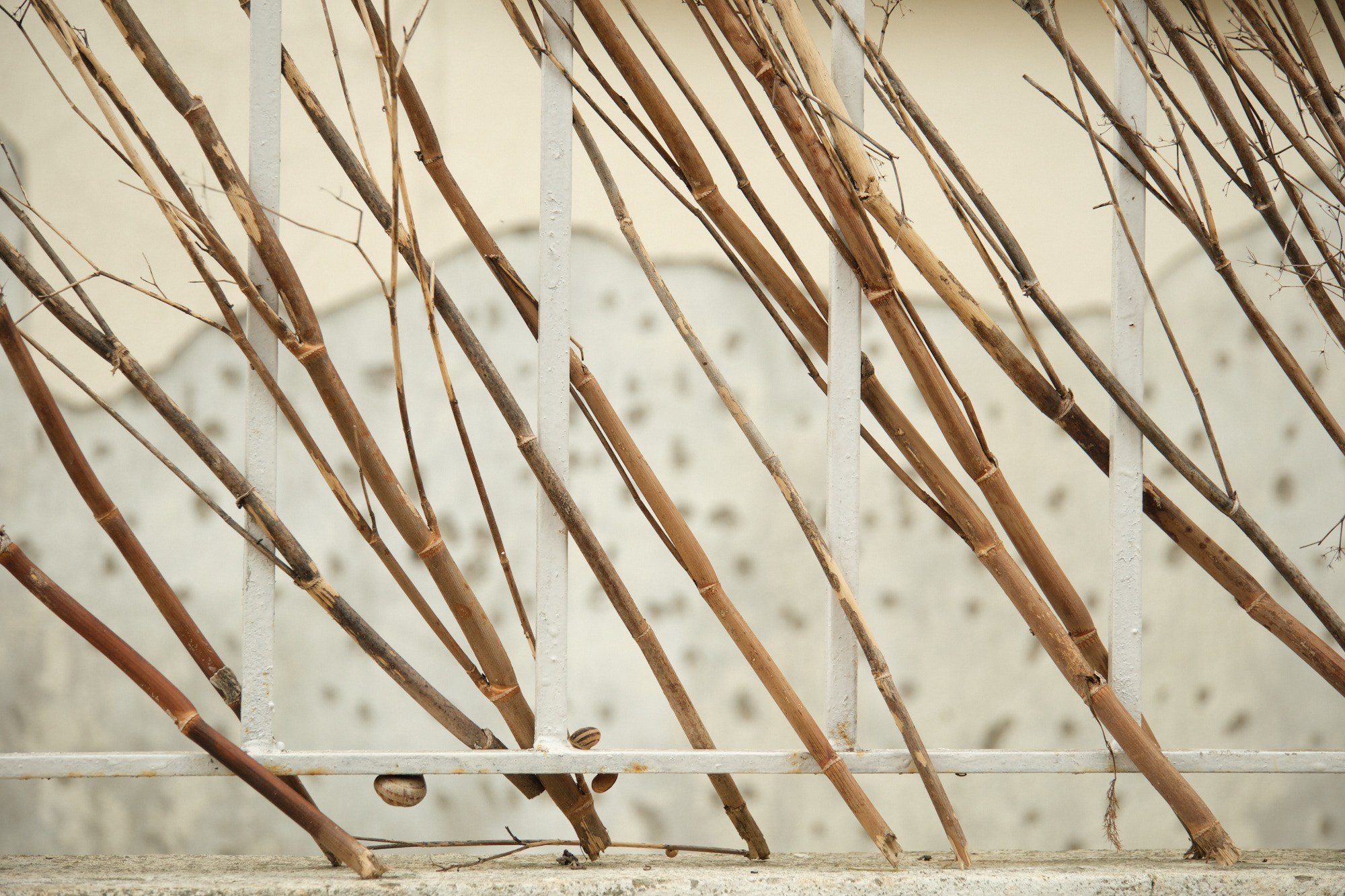 Стамбул. Юрий Березнюк. Фотограф в Новороссийске. Фотожурналистика