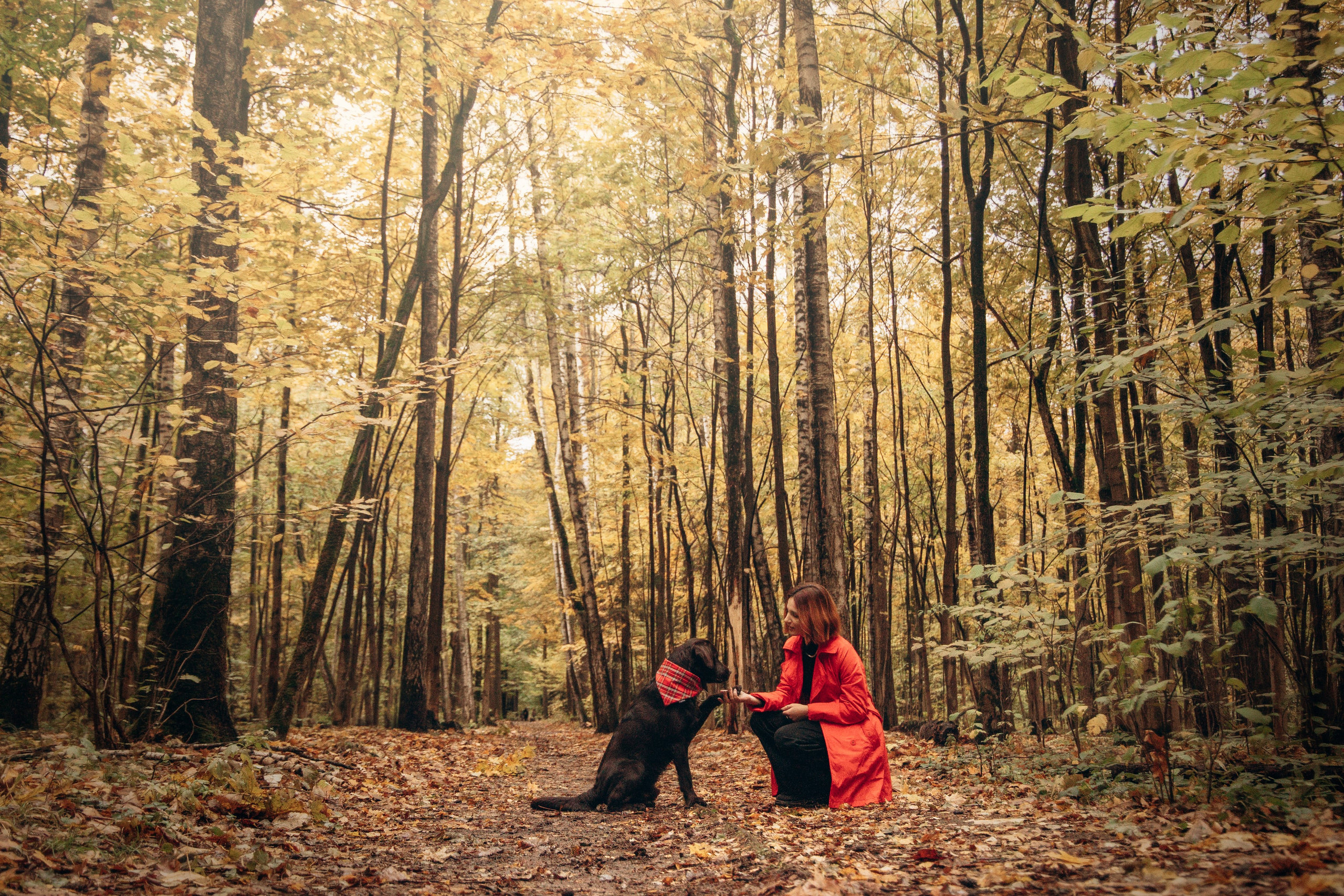 Арина и Сэмми. Фотограф — Анималист | Санкт-Петербург