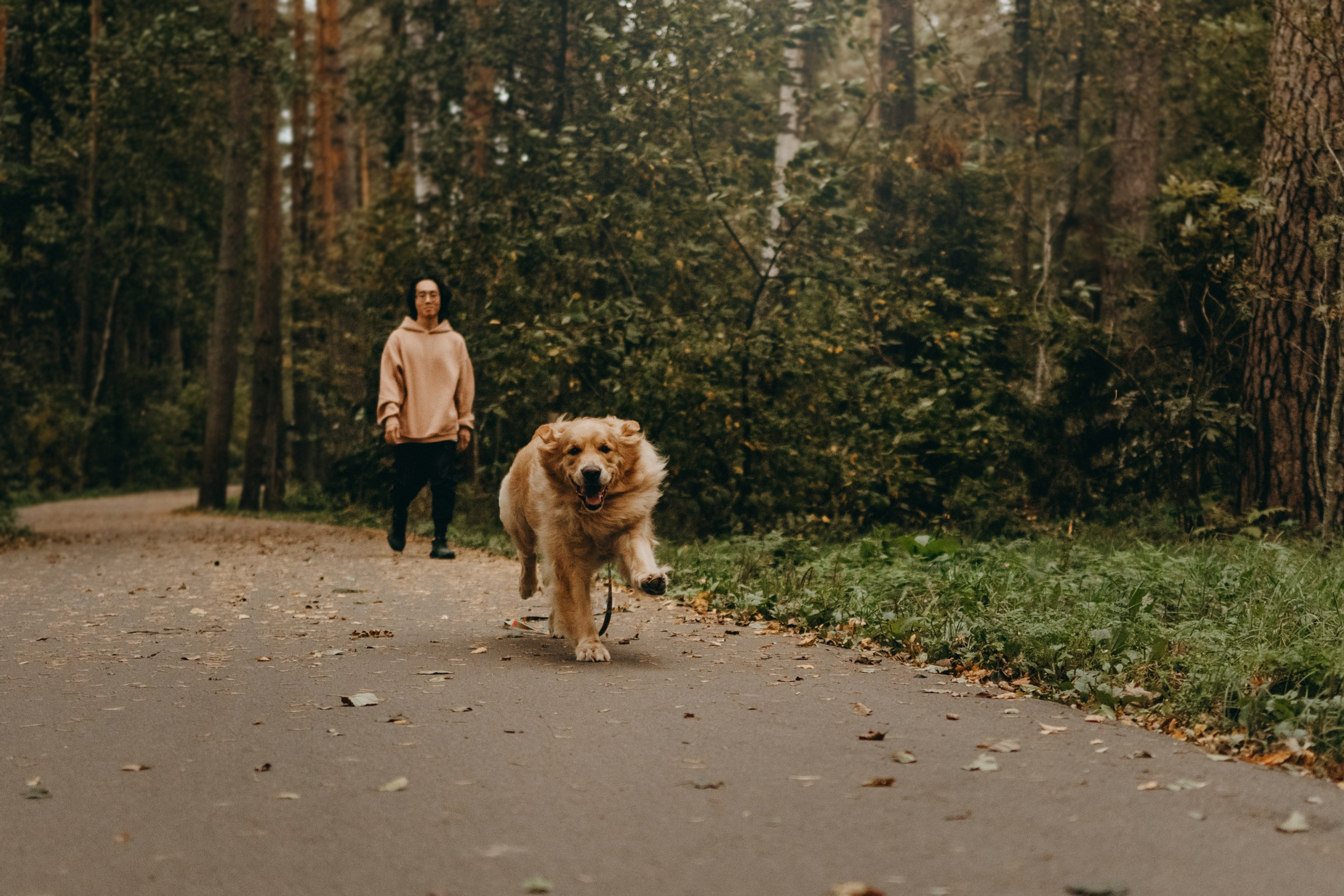 Фоси и его семьи. Фотограф — Анималист | Санкт-Петербург