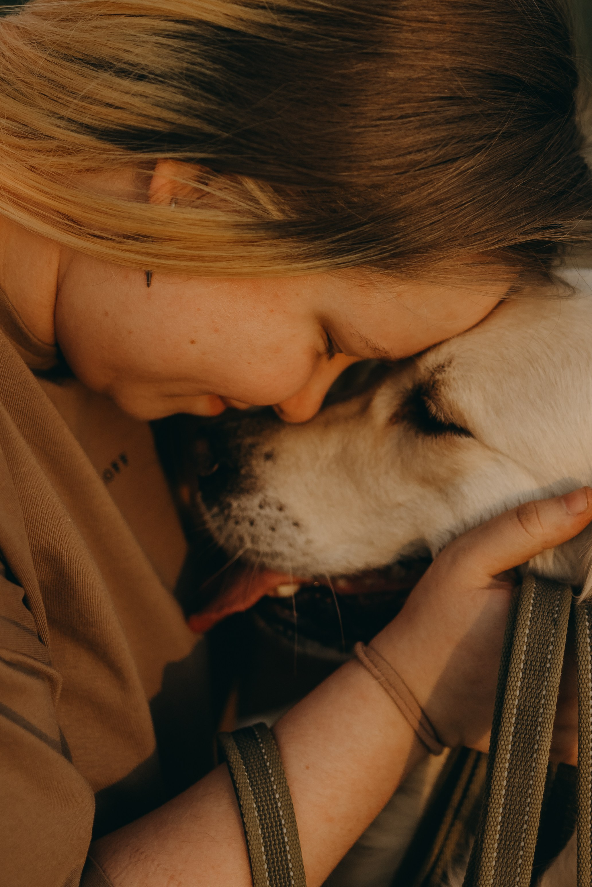 Милка и ребята. Фотограф — Анималист | Санкт-Петербург