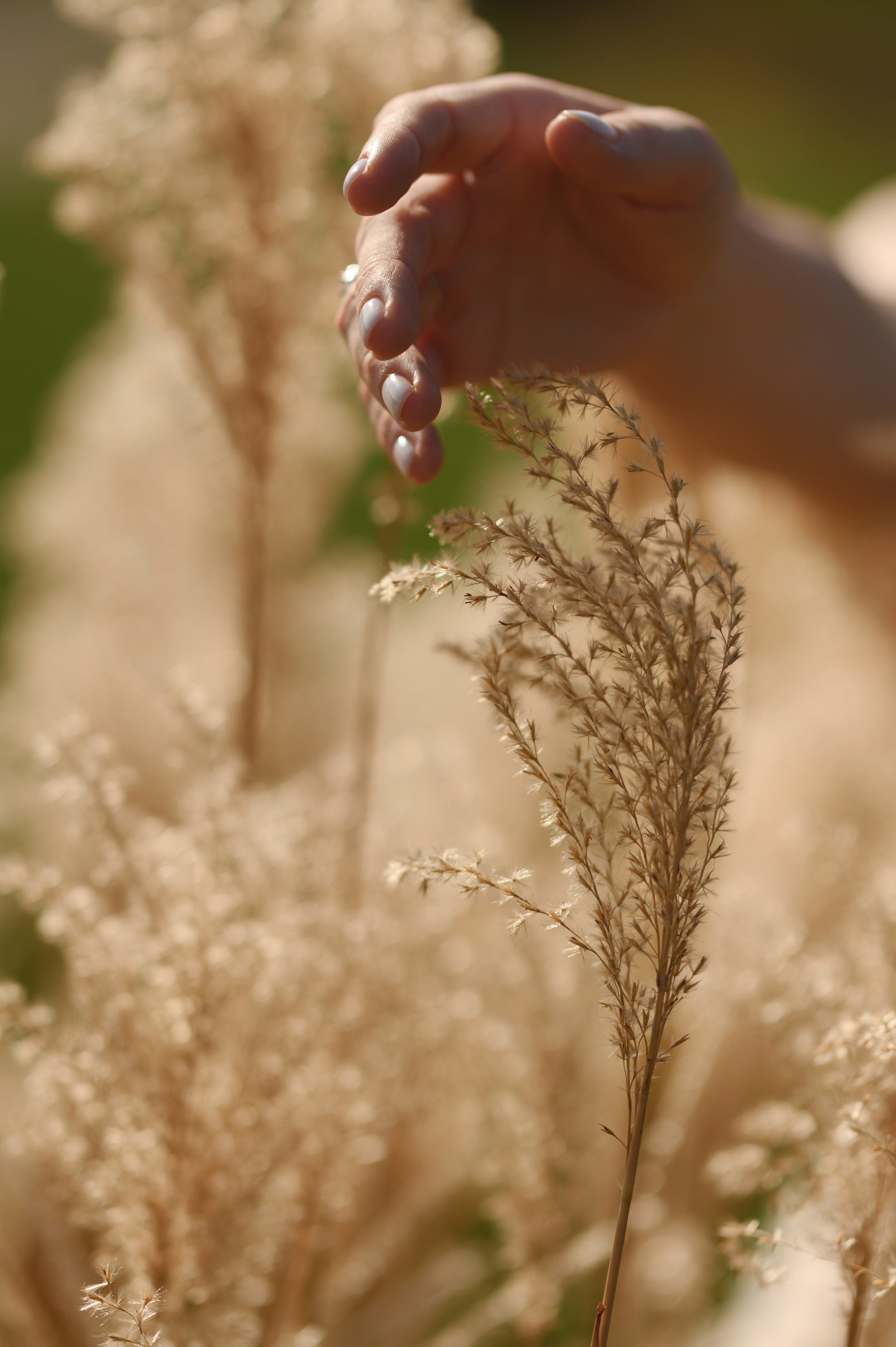 Никита и Ксения. Свадебный фотограф и видеограф