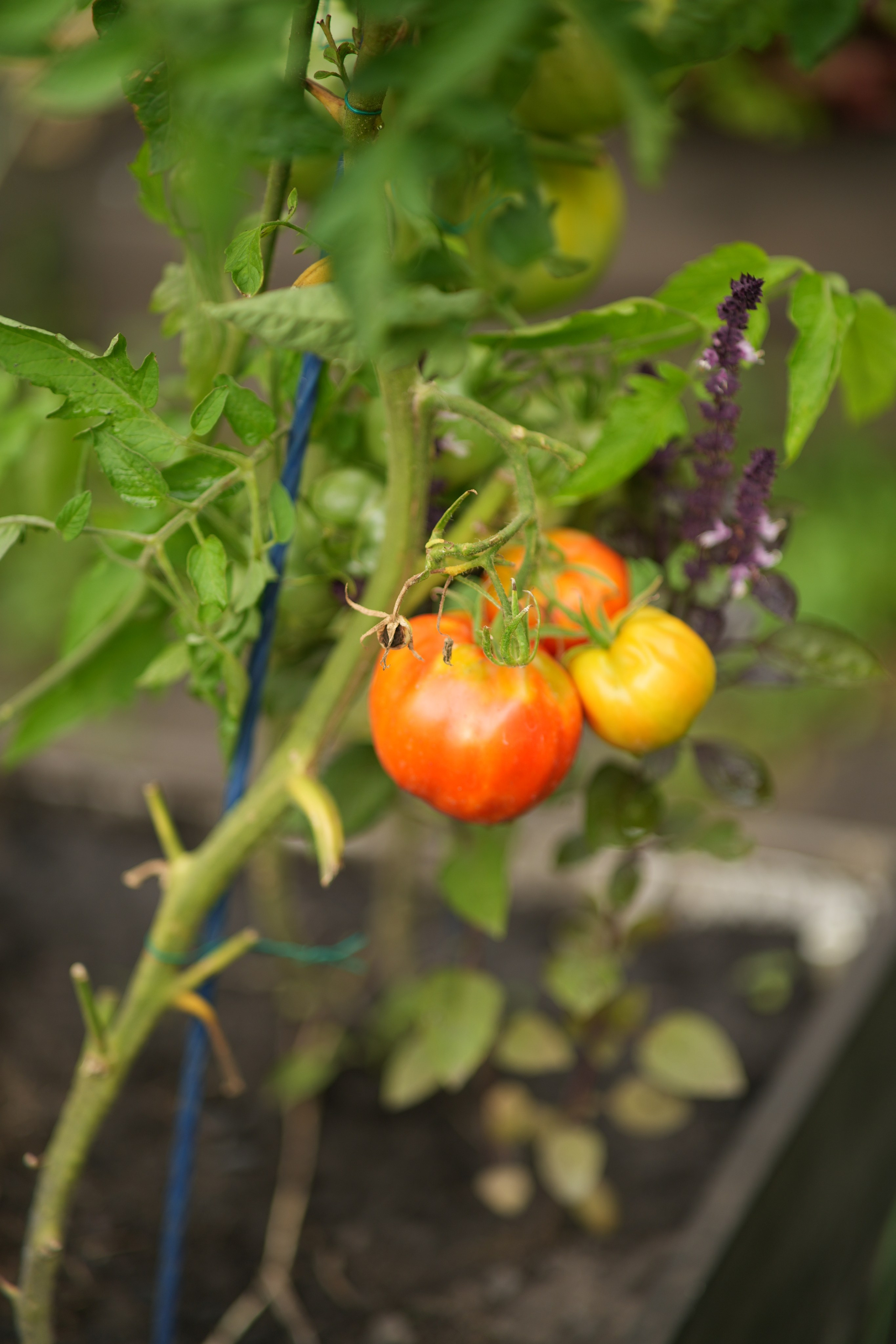 Час 1500 пример фотосессии пакет «ФОТО НА ПАМЯТЬ» (без обработки). Фотограф Нижний Новгород Татьяна Кэйод