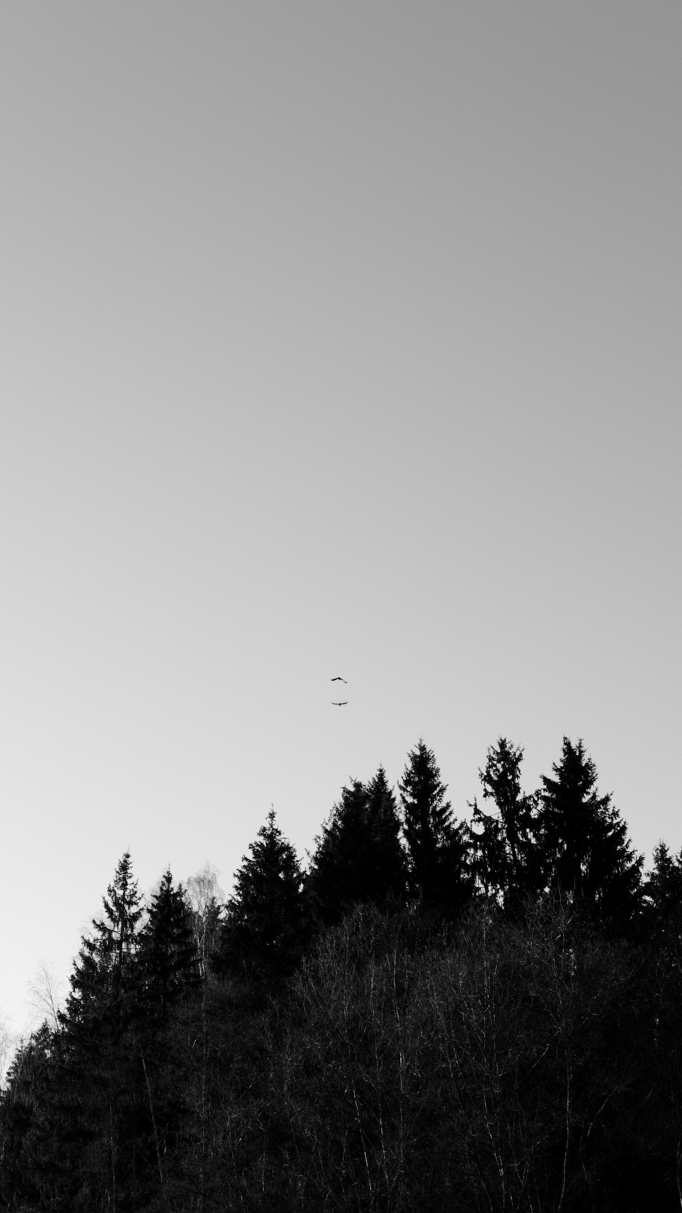 Природа. Фотограф Маргана Лоция