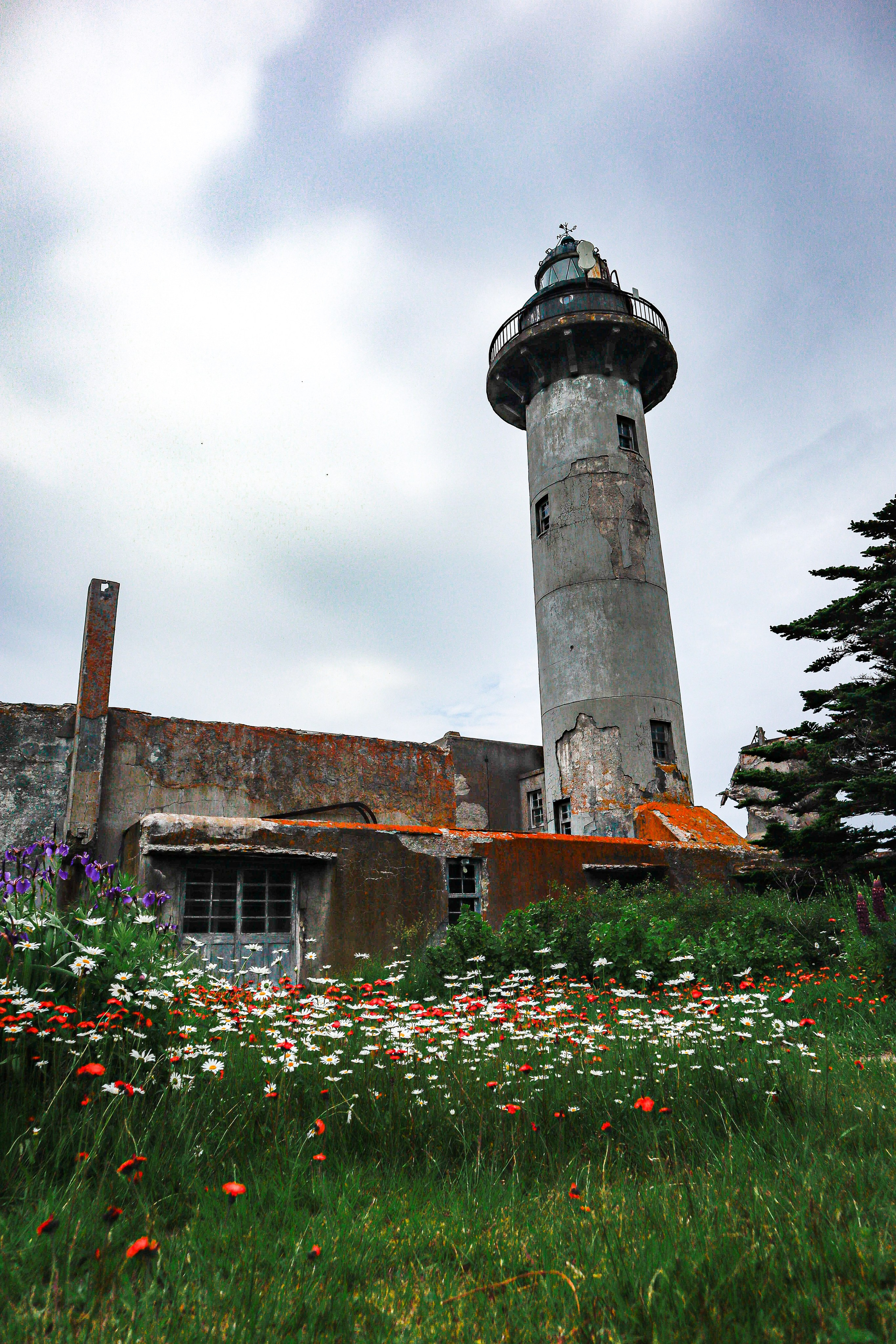 Маяк Тонин на мысе Свободном. Карафуто. Фотограф в Южно-Сахалинске Гусаков Евгений