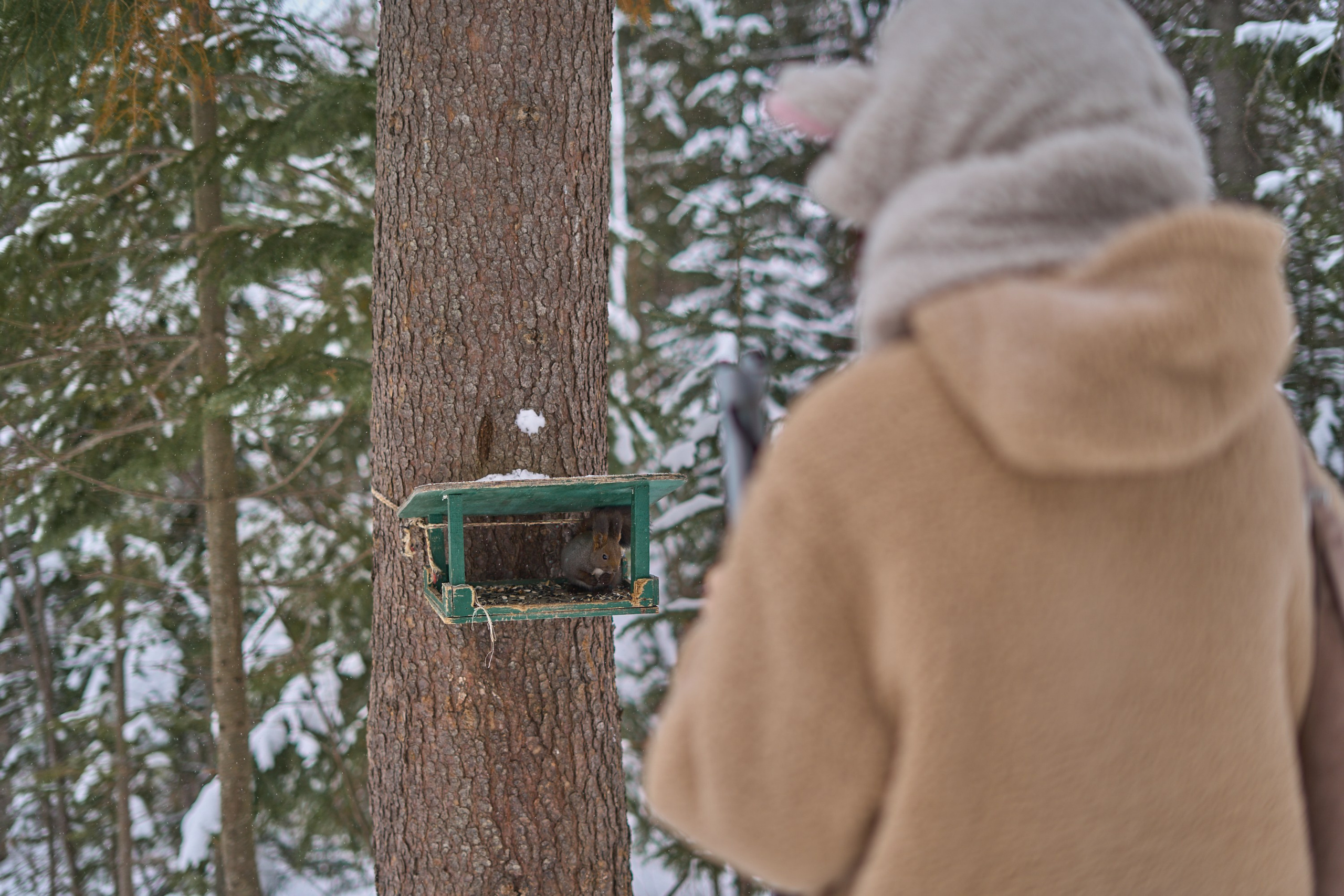 Природа. Фотограф Екатерина Зорина