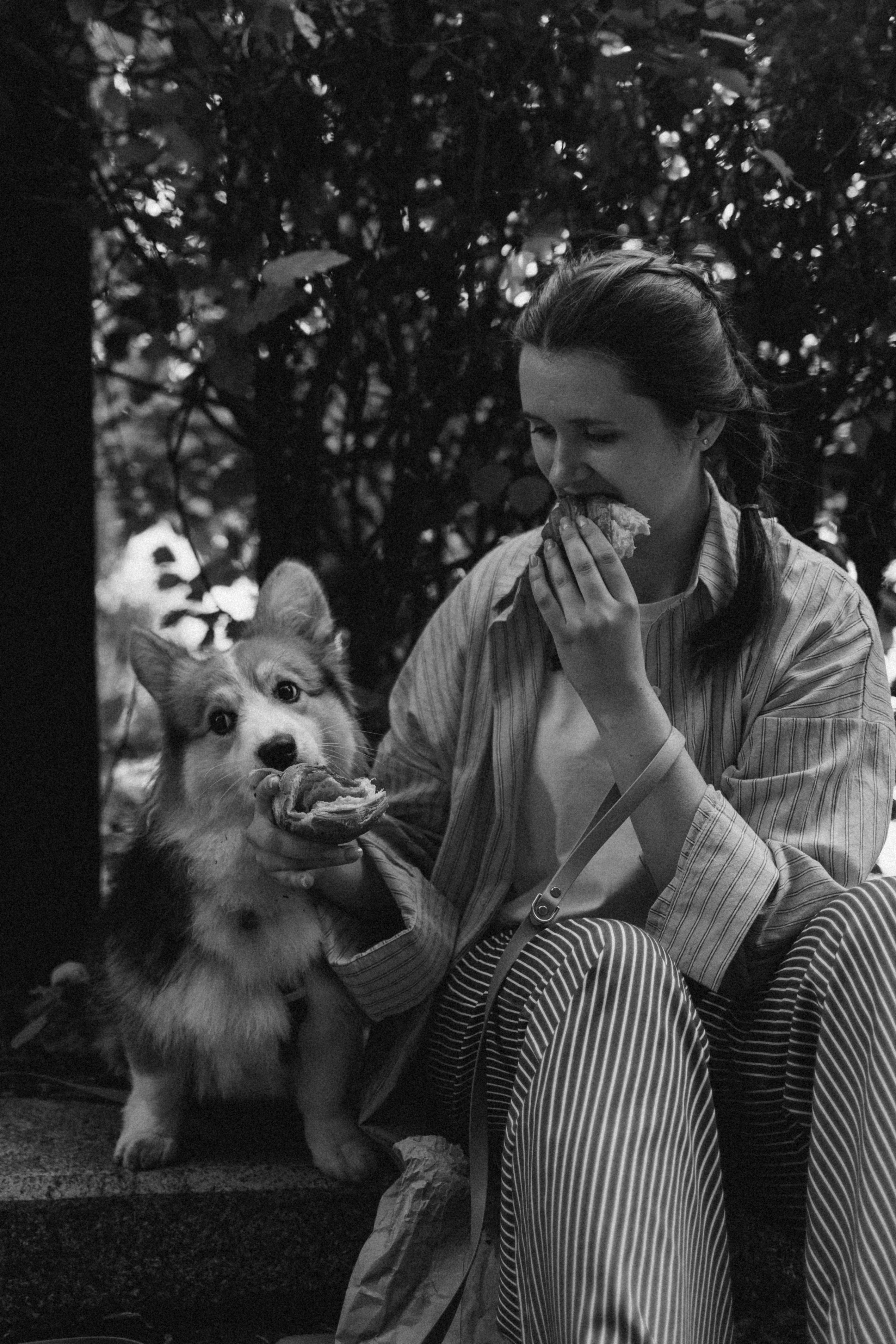 Мишель и Влада. Фотораф — анималист Мария Шистка