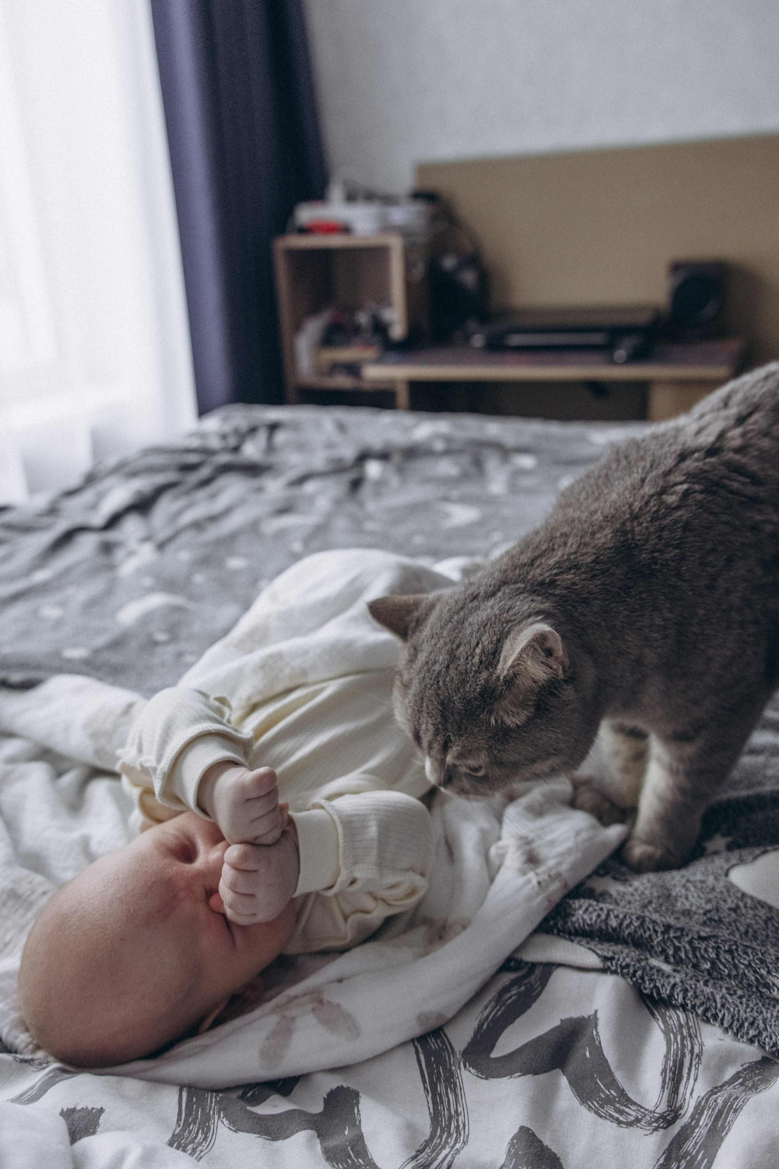 Домашняя фотосессия. Фотограф в Новосибирске Екатерина Васильева