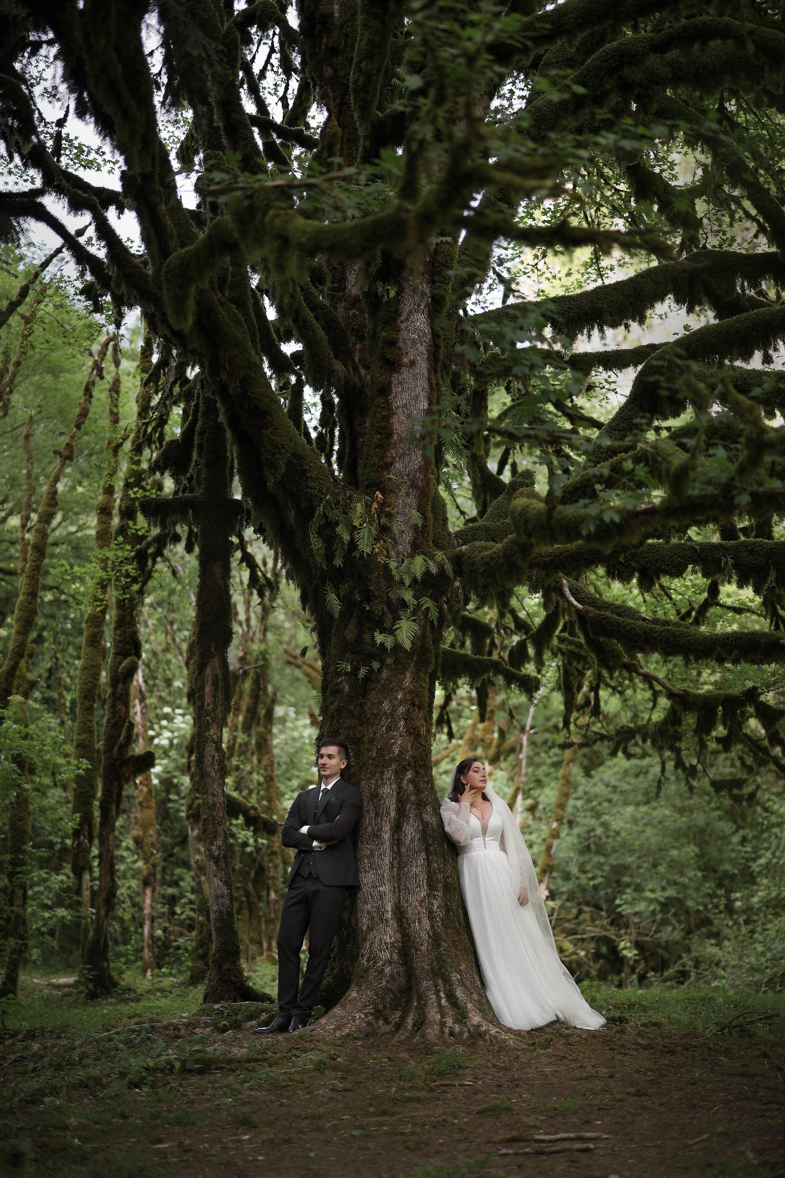 ove story фотосессия в самшитовом лесу