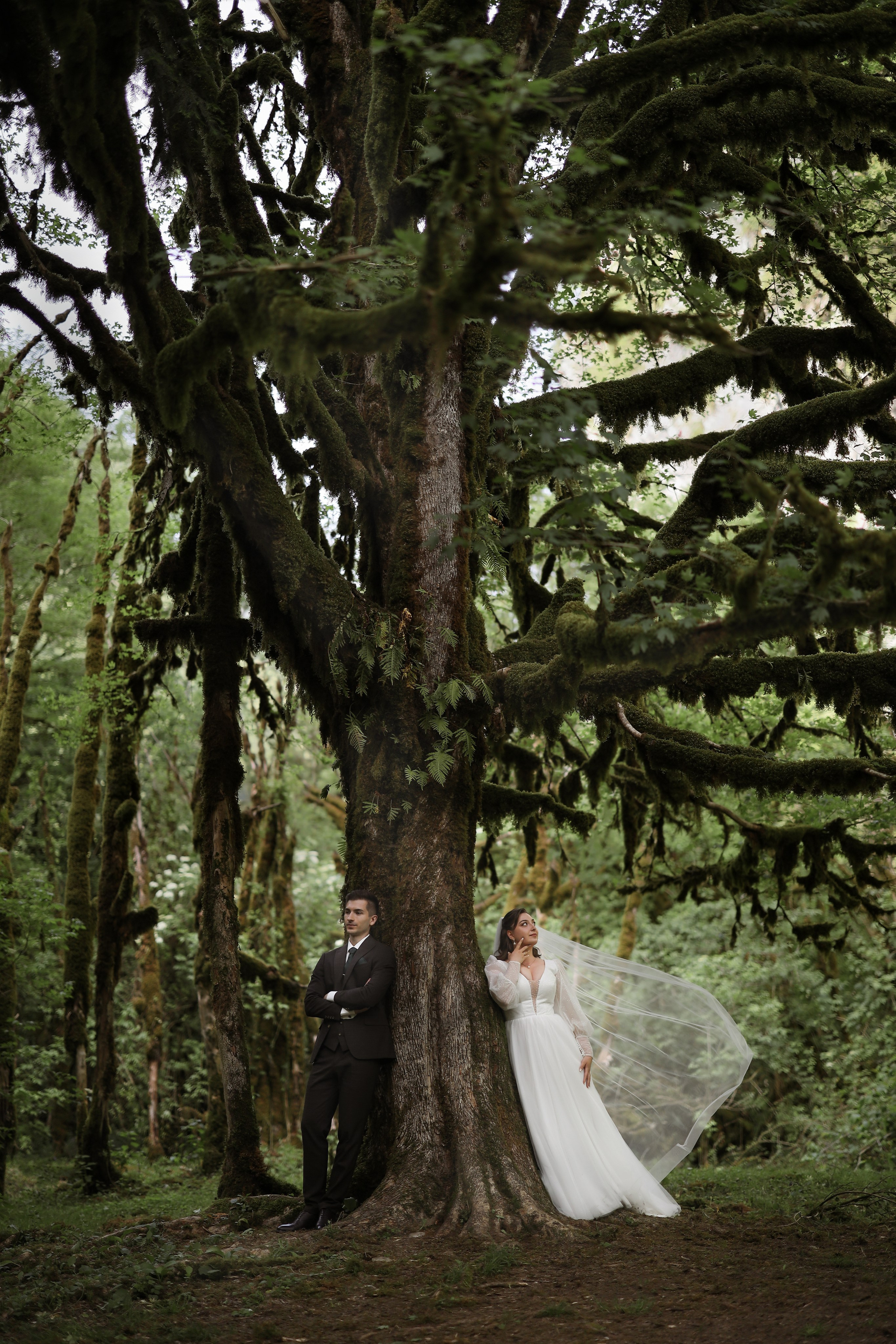свадебная фотосессия в самшитовом лесу