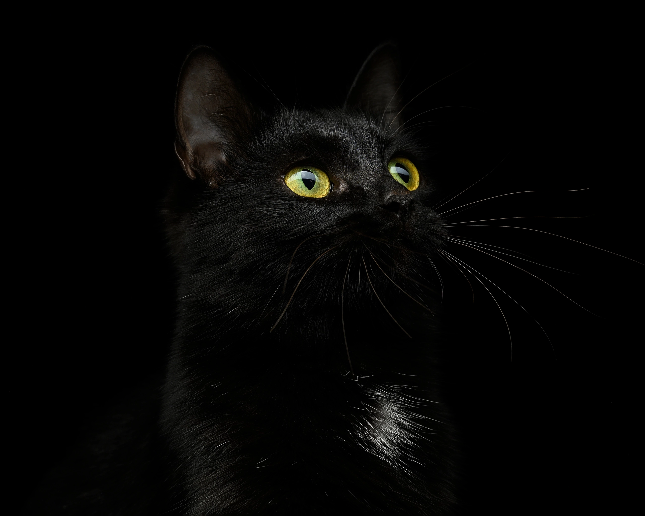 Студийные съемки. Портретный фотограф в Челябинске Катерина Руди