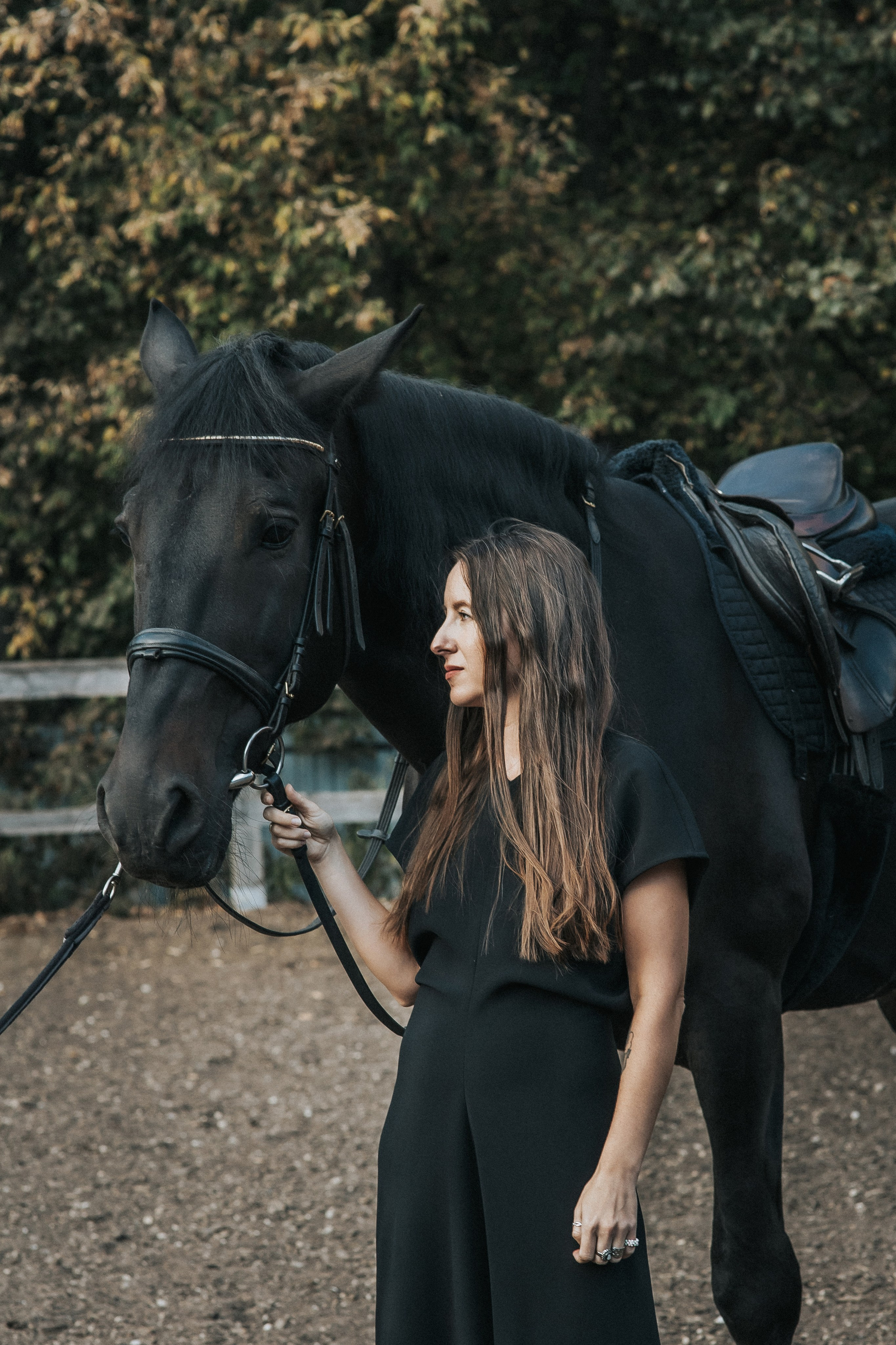 Большая семья и черный конь Султан. Семейный фотограф в Москве Наталья Чуб, заказать Фотокнигу