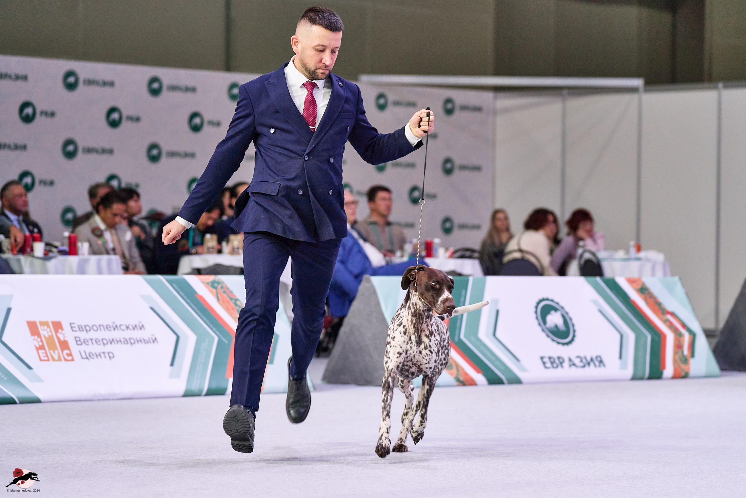 17.11.2024 «ЕВРАЗИЯ. КУБОК СНГ 2024»