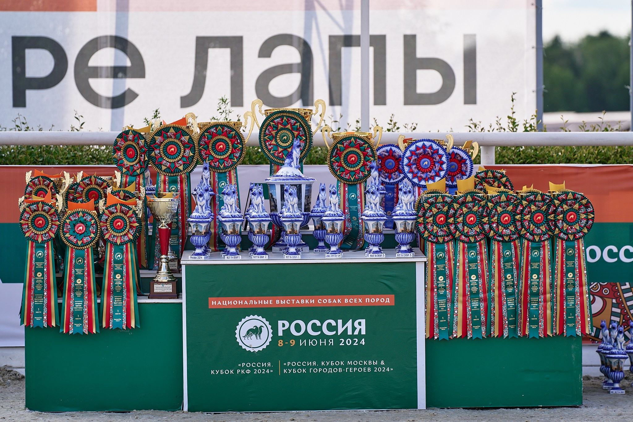 09.06.2024, «РОССИЯ. КУБОК МОСКВЫ 2024 & КУБОК ГОРОДОВ-ГЕРОЕВ»