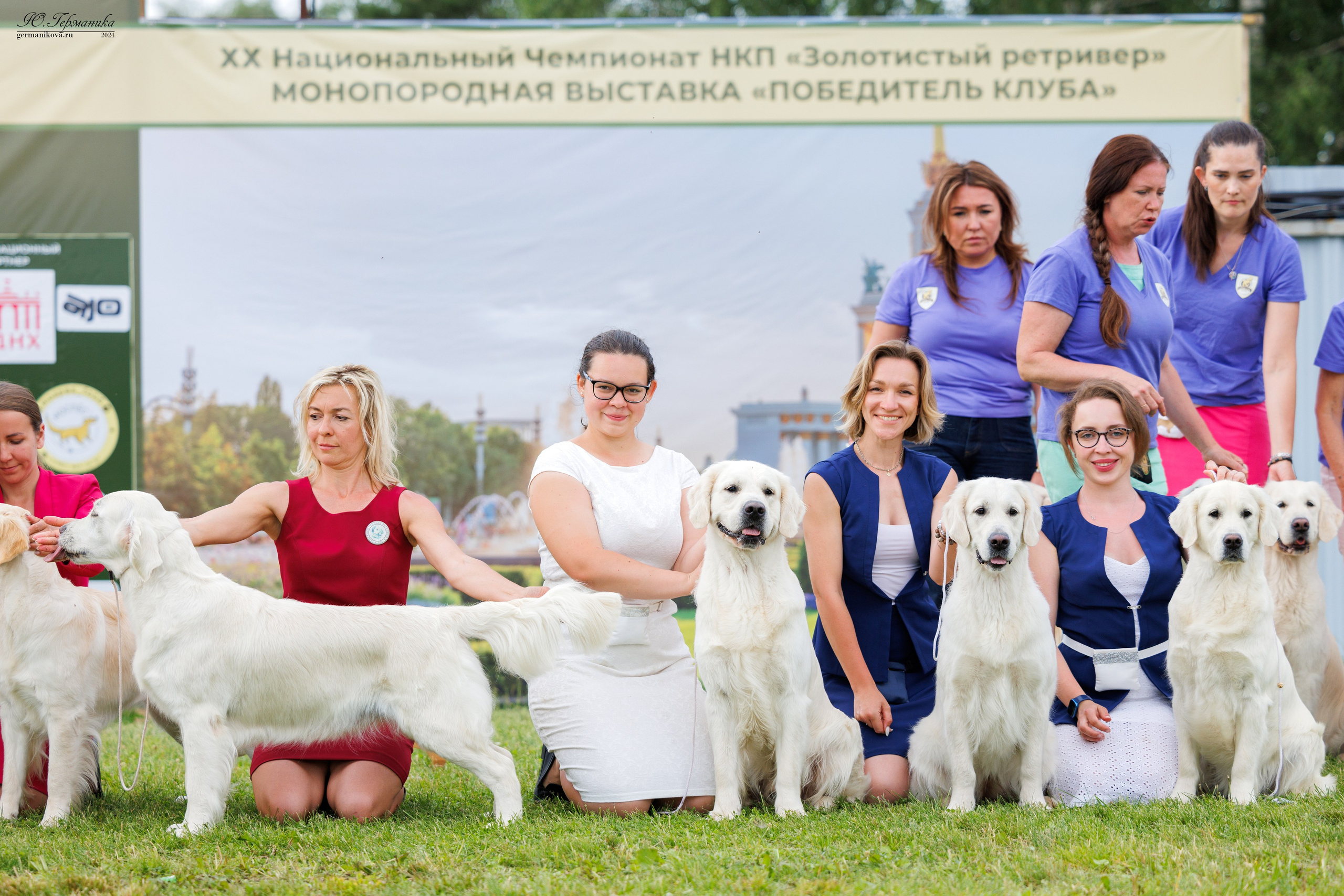 Голдены 15-16.06.2024. Фотограф-анималист Юлия Германика