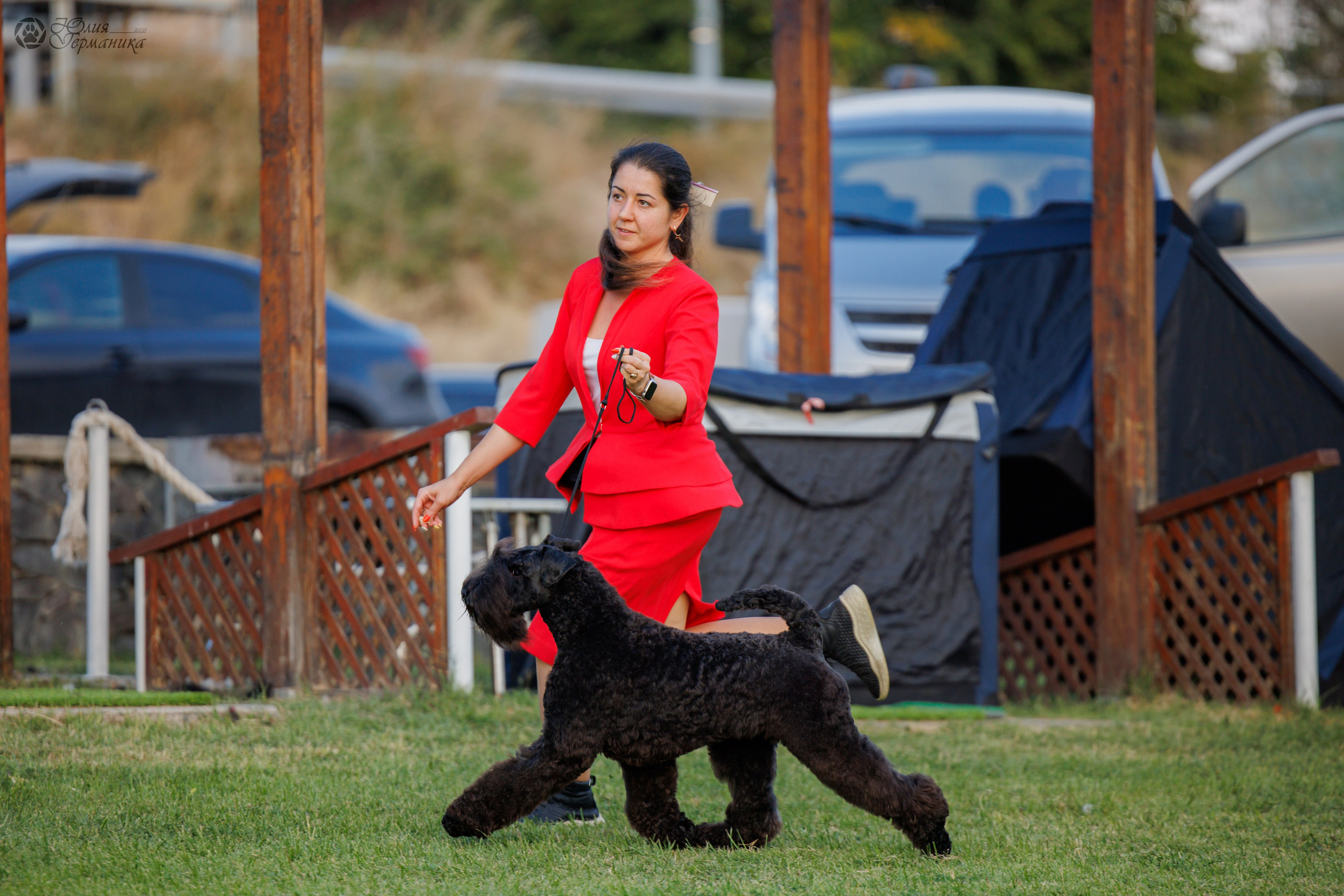 Армения,Ереван 3хCACIB 15-17.10.2024. Фотограф-анималист Юлия Германика