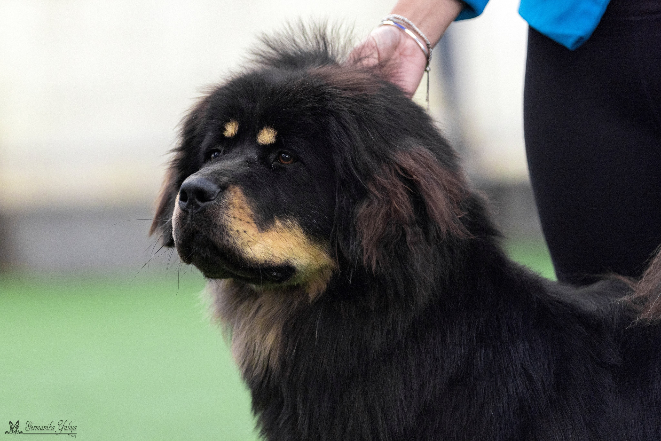 Ташкент 6-8.10.2023 + Алматы 14-15.10.2023. Фотограф-анималист Юлия Германика