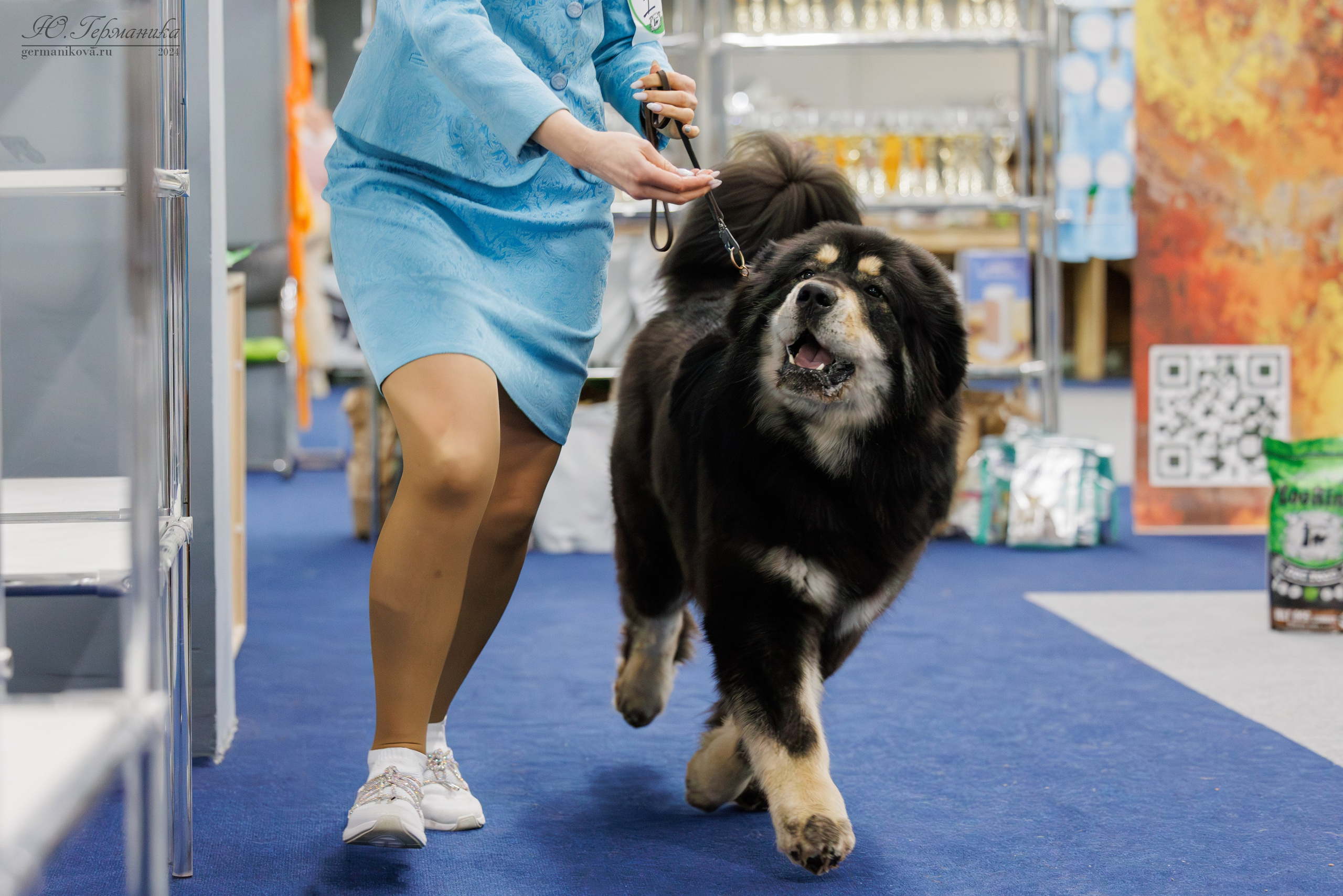 Сфера и Крокус 8,9,16 и 30.03.2025. Фотограф-анималист Юлия Германика