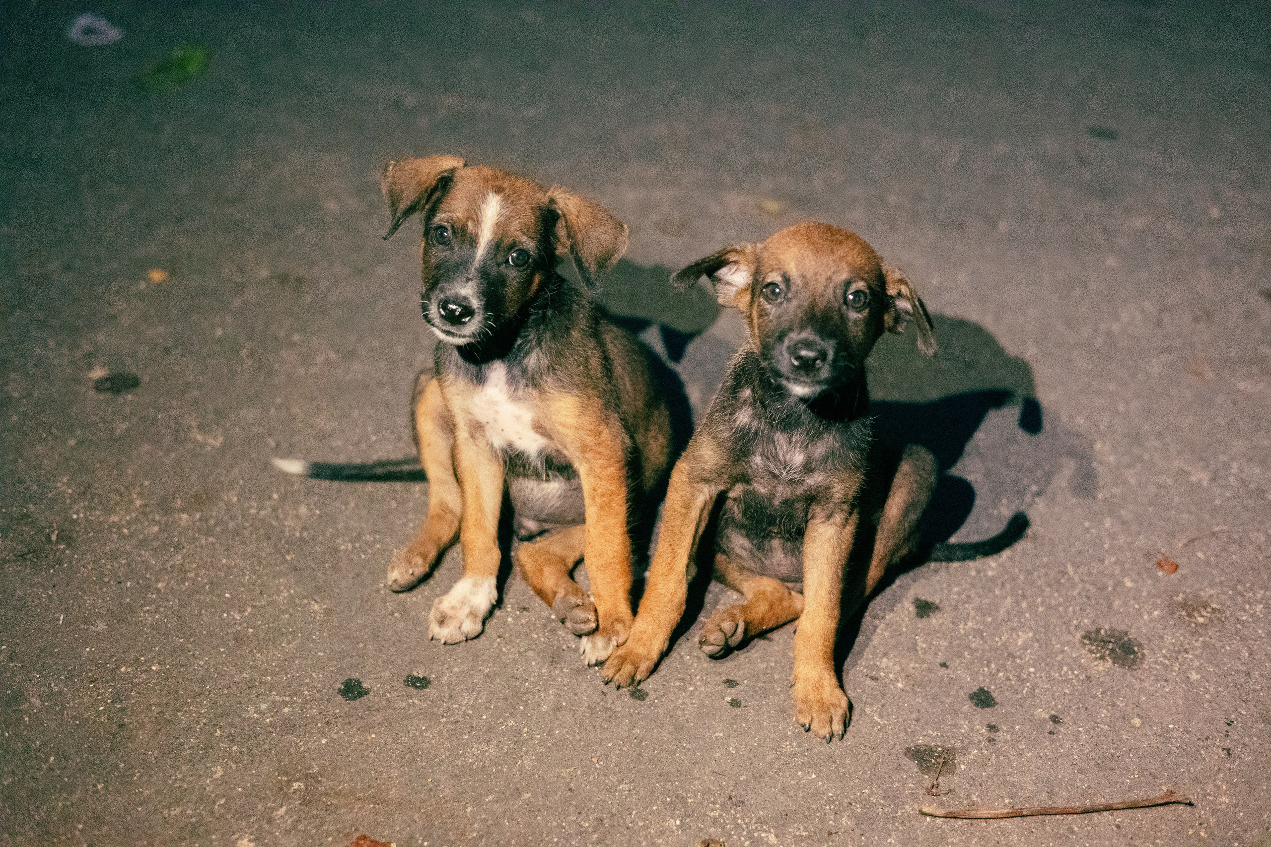 Амбалангода. Фотограф Сонкина Татьяна
