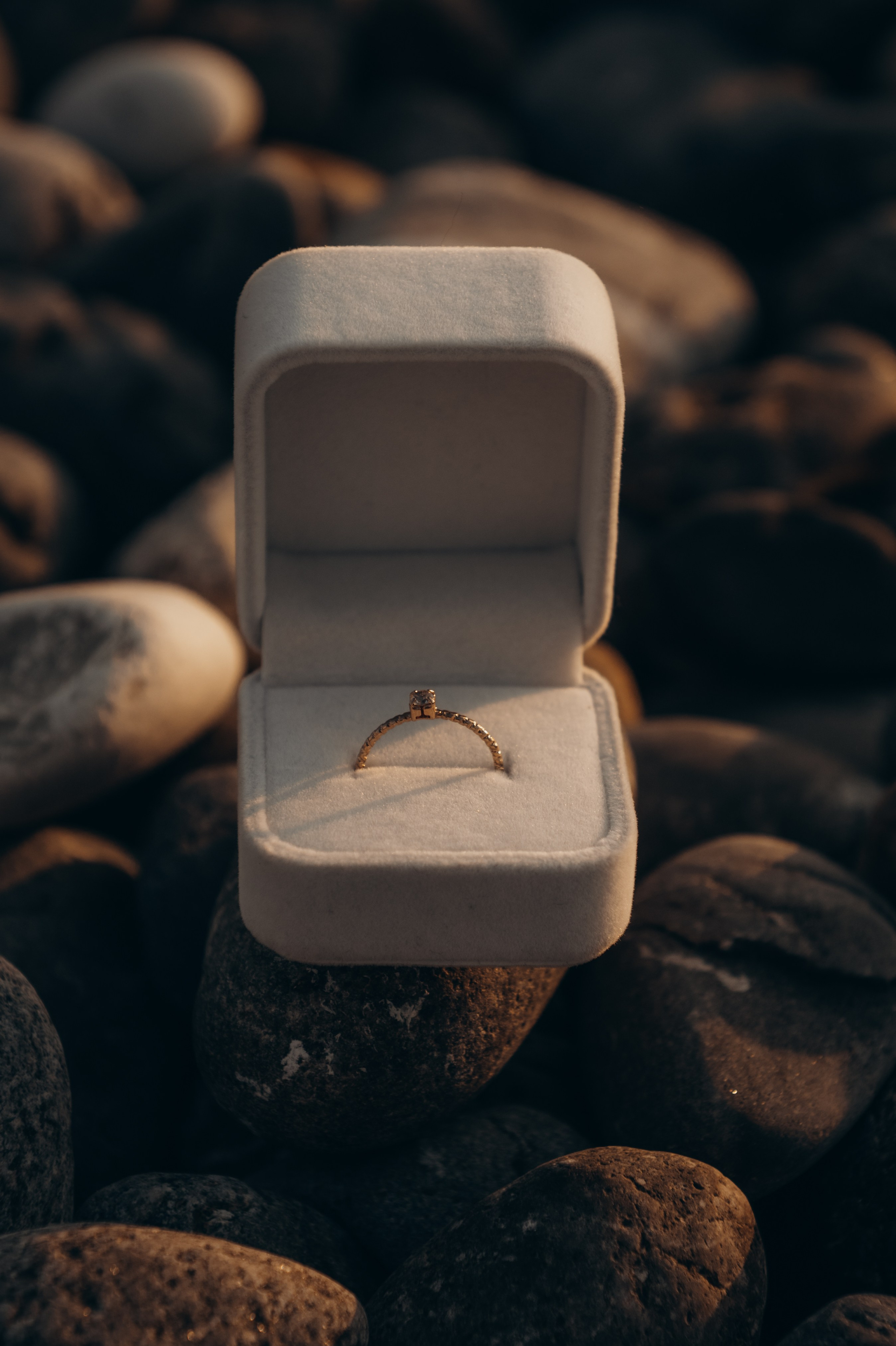 Анастасия и Даниил (предложение). Аплас Анастасия