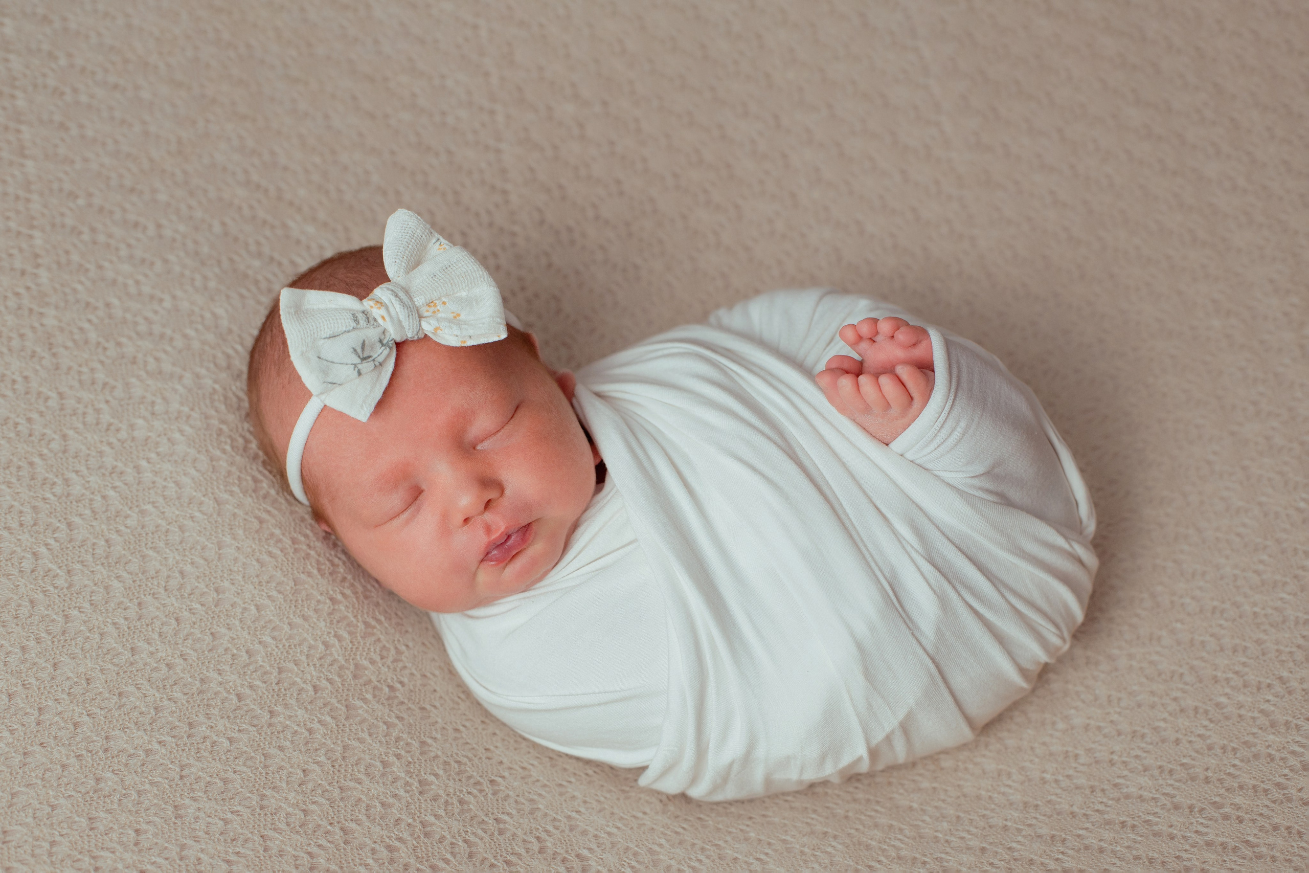 Фотограф в Северском районе| г. Краснодар Алена Заливчая