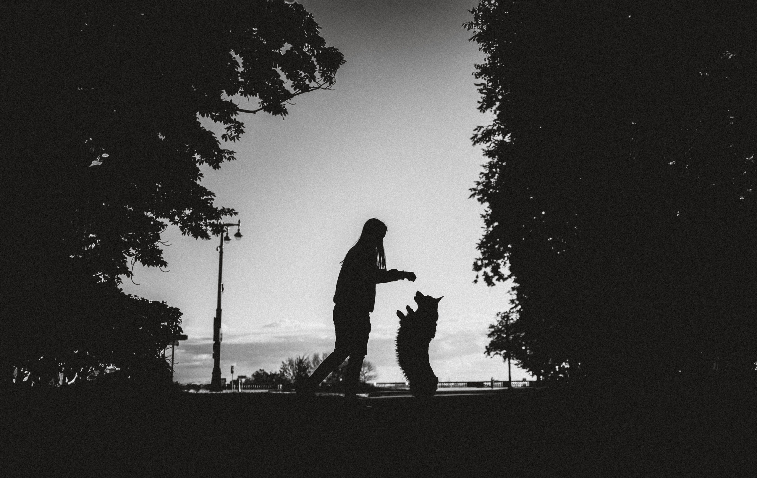 Пуговка и ее семья