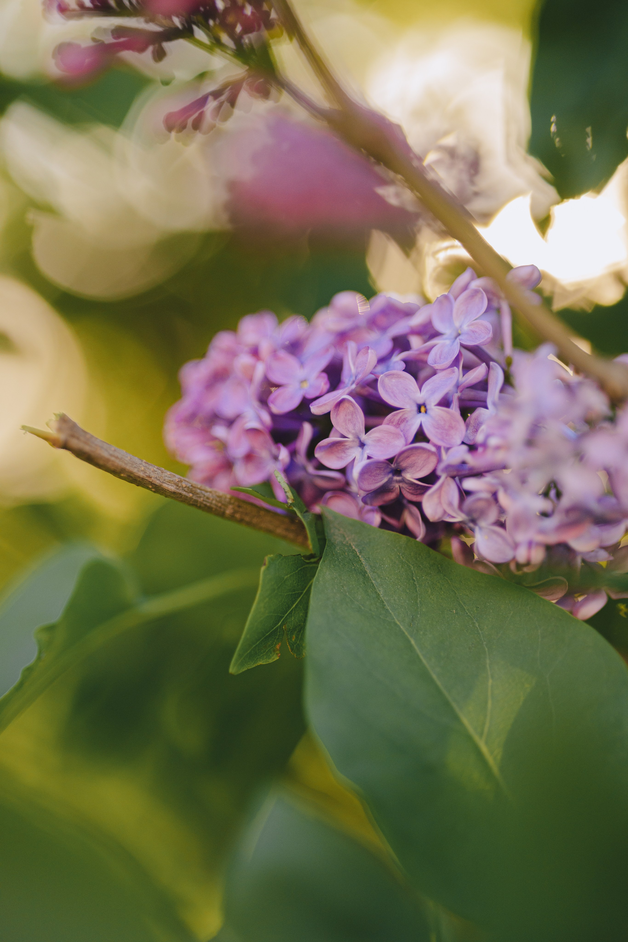 Даша. Фотограф Таганрог Любимая Надя