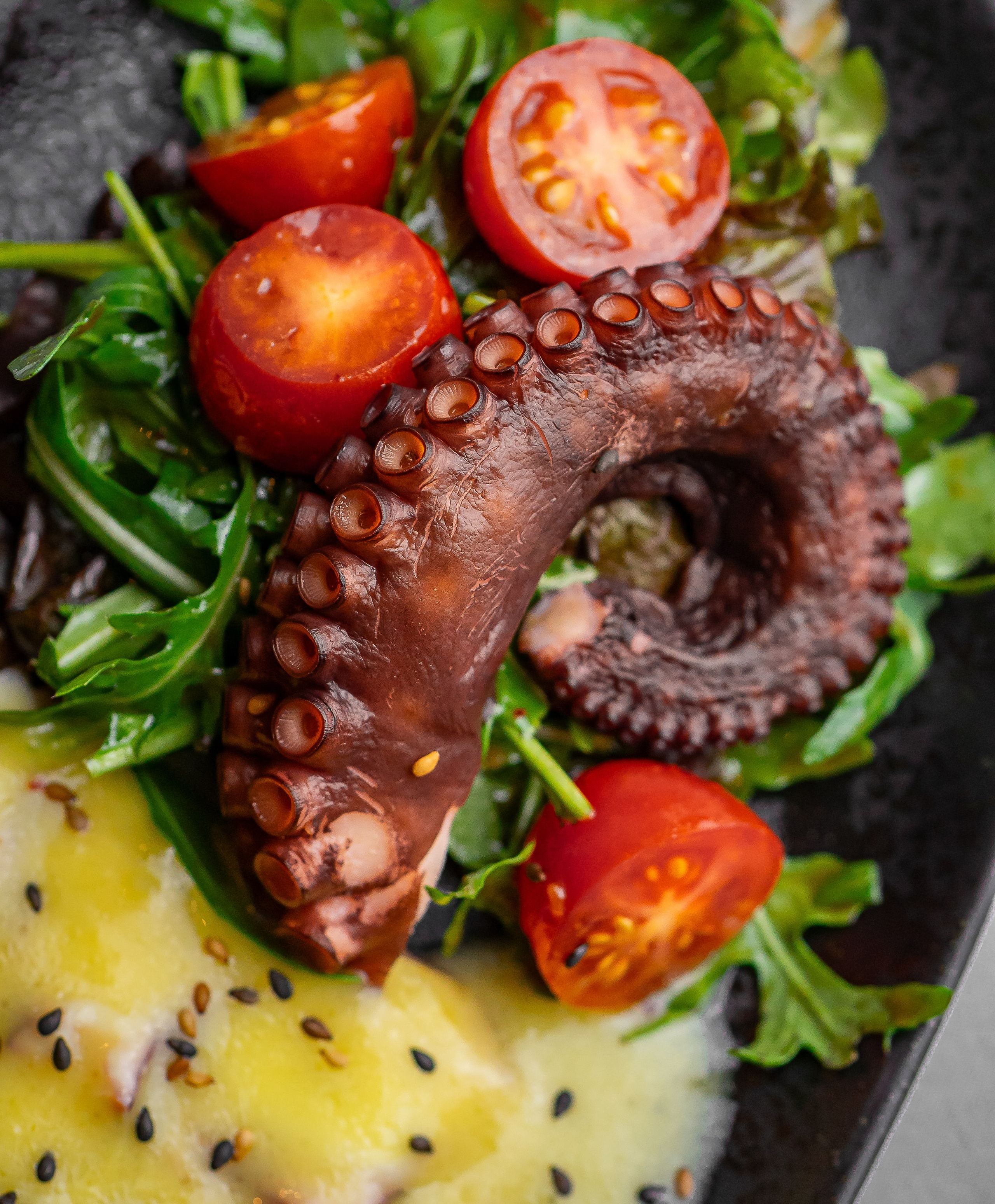 Ресторан Zuma. Фуд-фотограф Караганда Астана