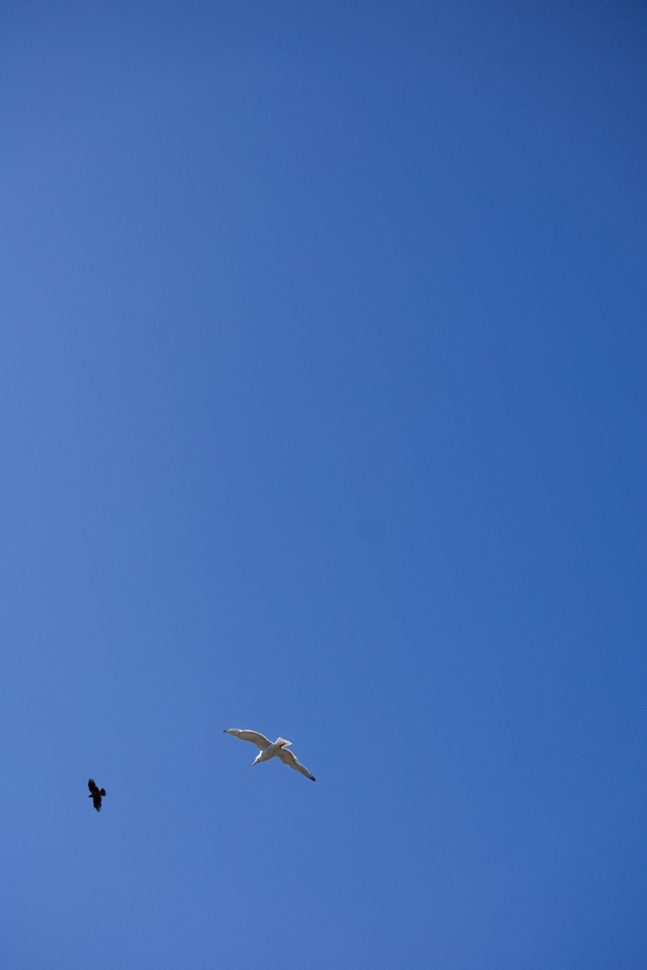 Михаил и Марина. Фотограф Тюмень Пушковская Кристина