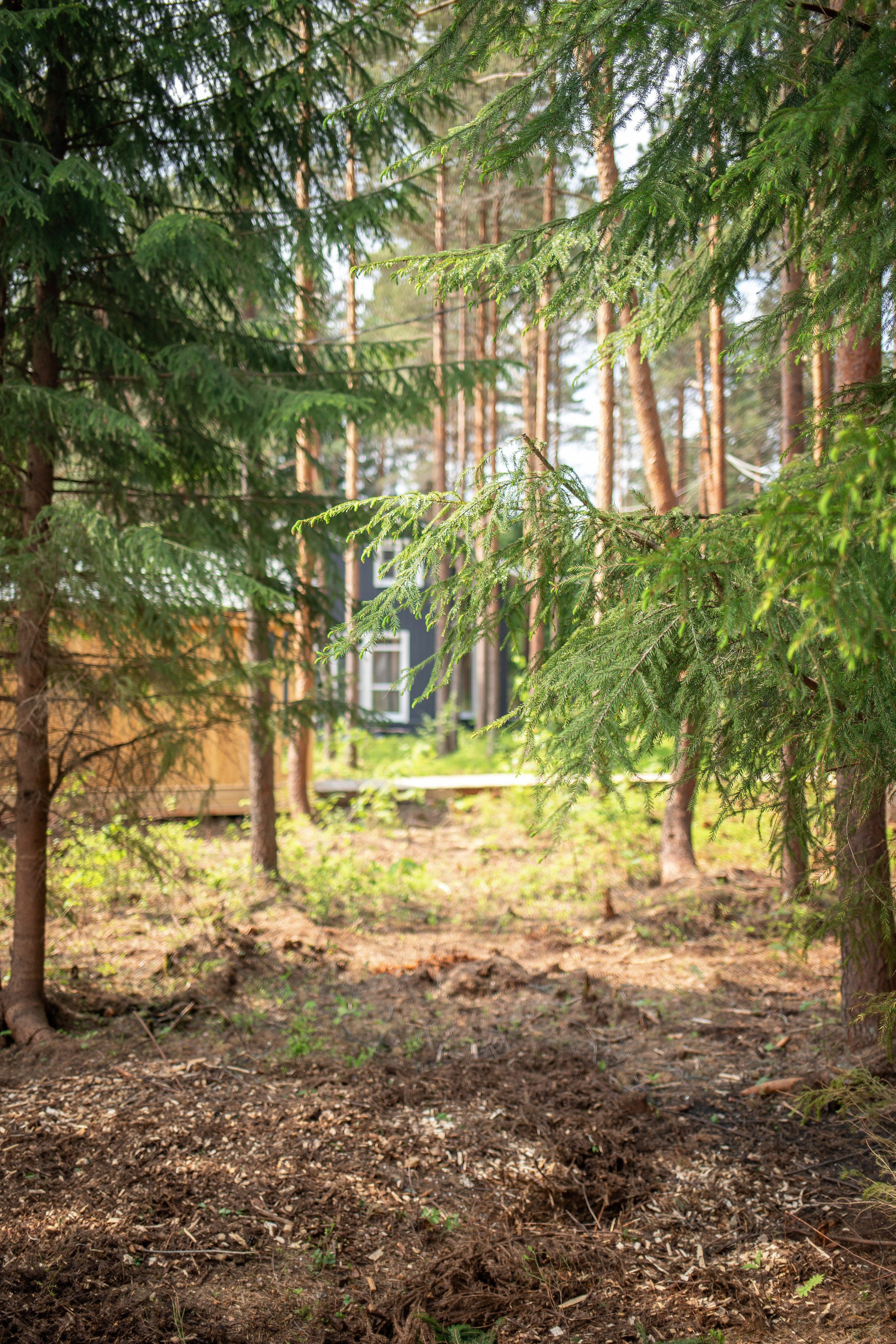База отдыха Тосненский район ЛО. Фотограф недвижимости и контент-съемки в СПб