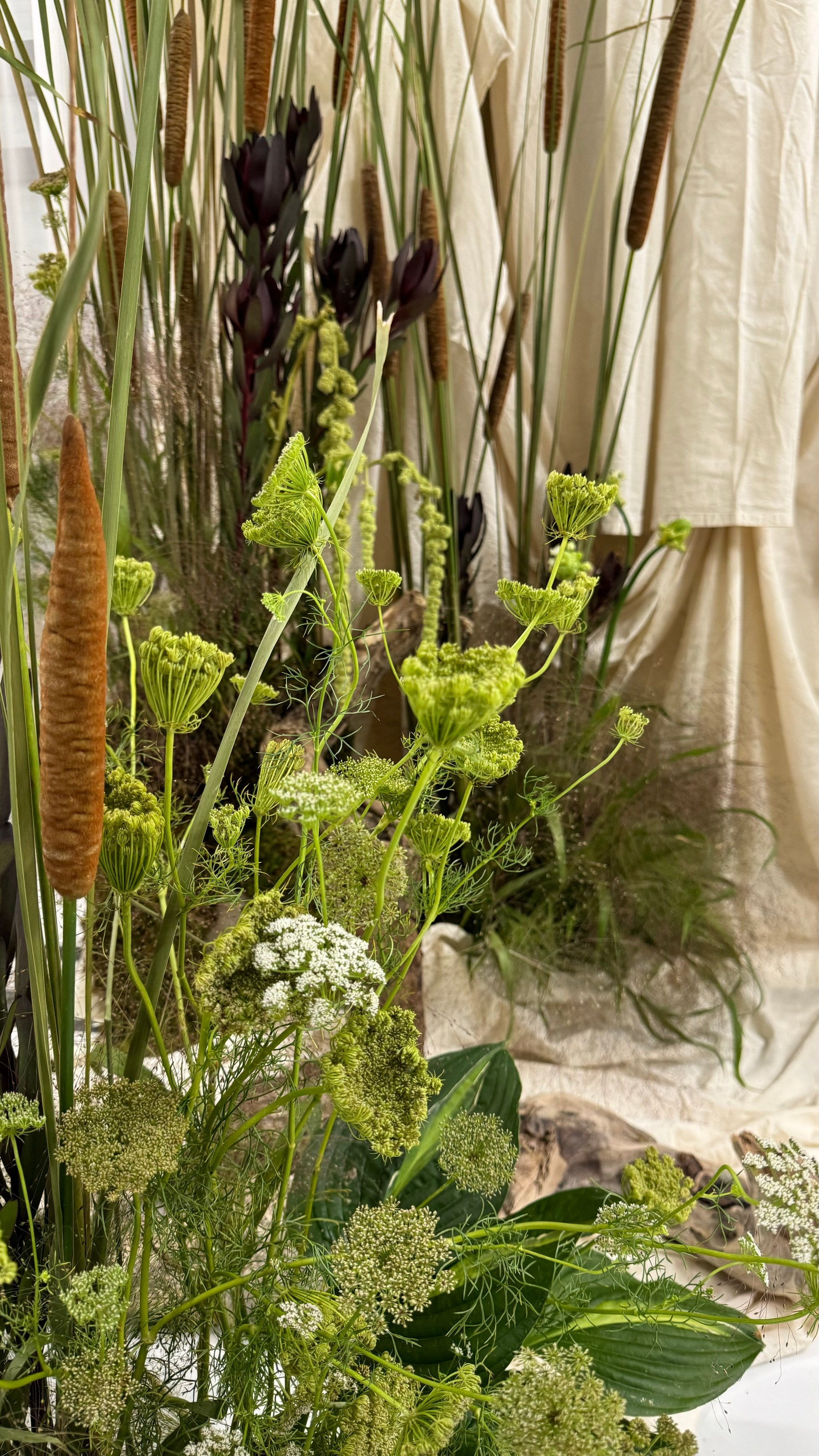 Презентация бренда Davines 2024. Ксения Почтарь. Декоратор и флорист, город Владивосток